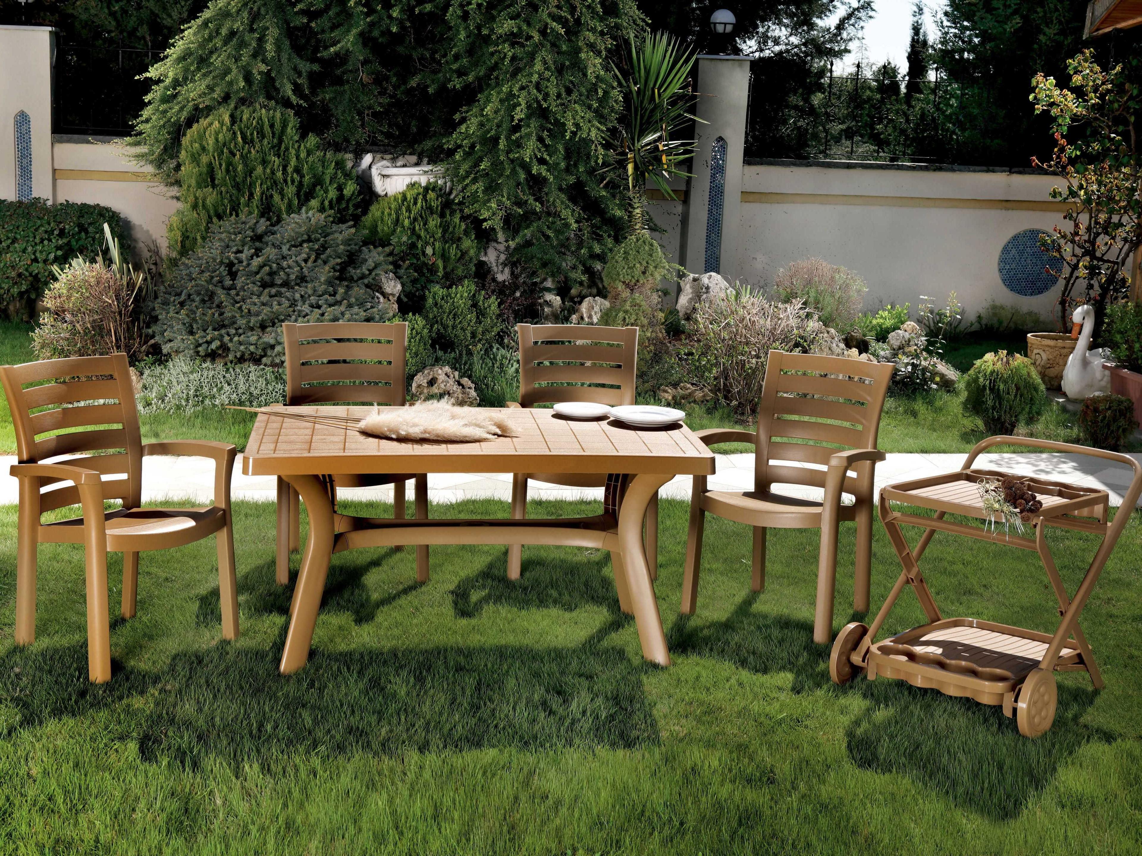 Compamia Marina Teak Brown Resin Dining Chair