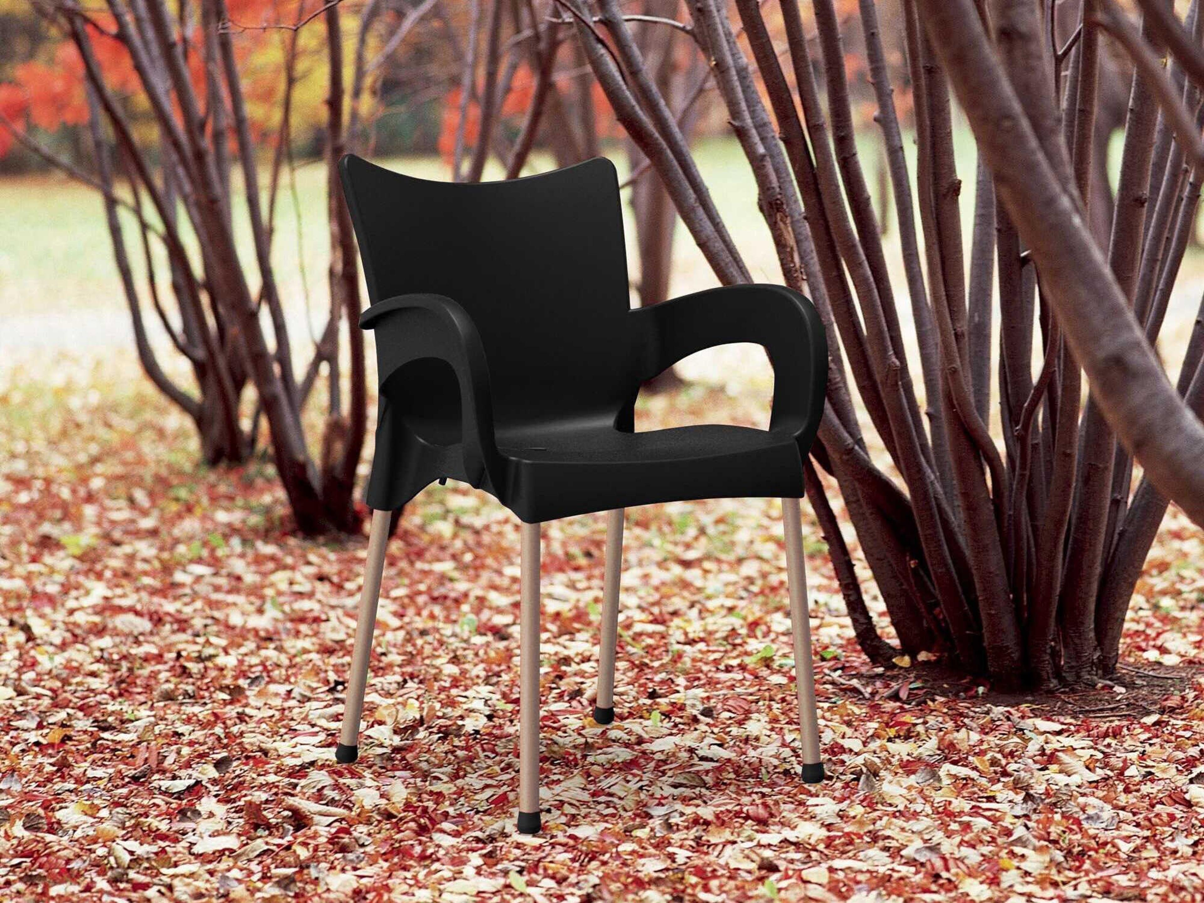 Compamia Romeo Black Aluminum Resin Dining Chair