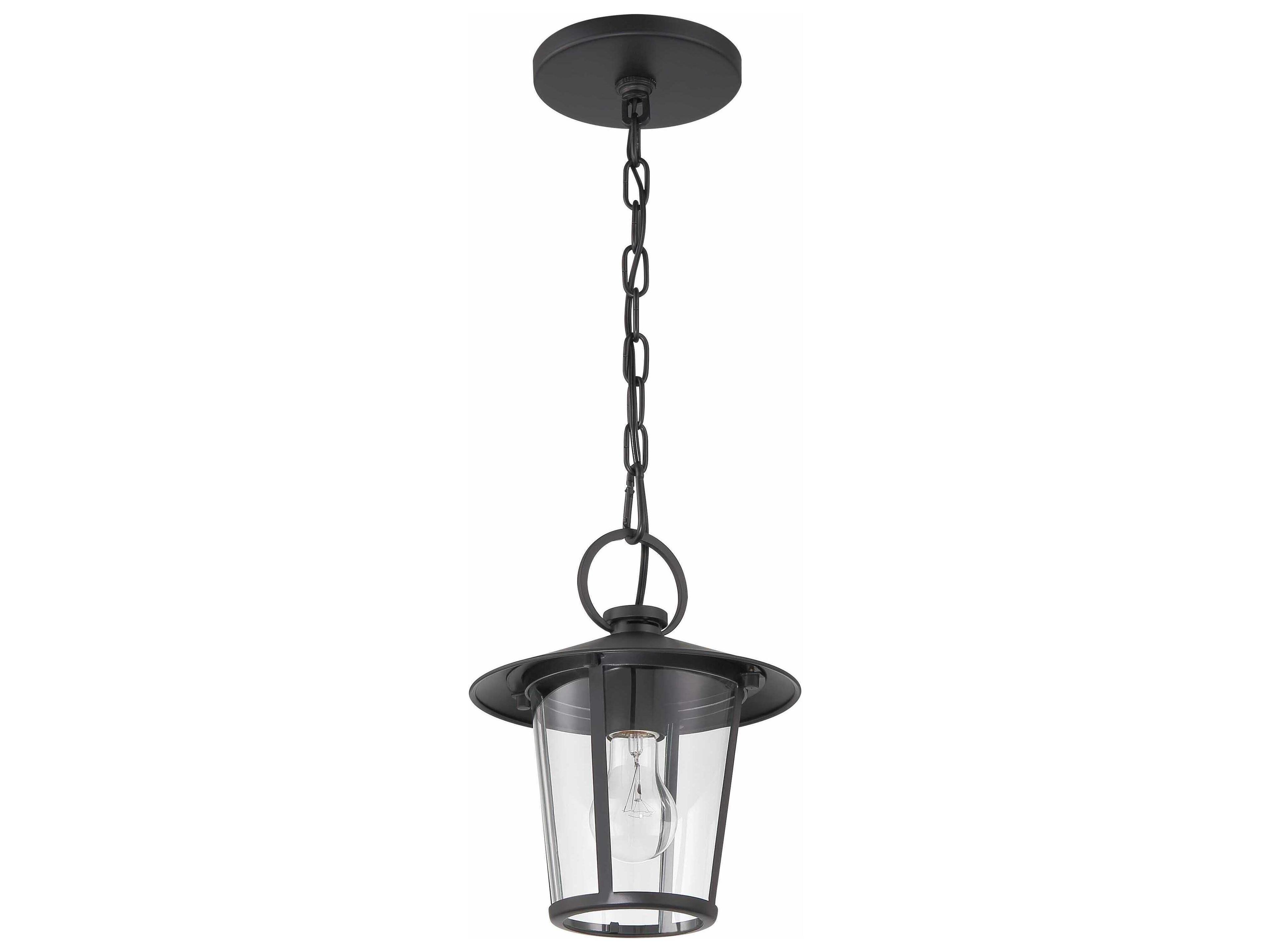 Crystorama Andover 1 - Light Outdoor Hanging Light with Clear Glass Shade