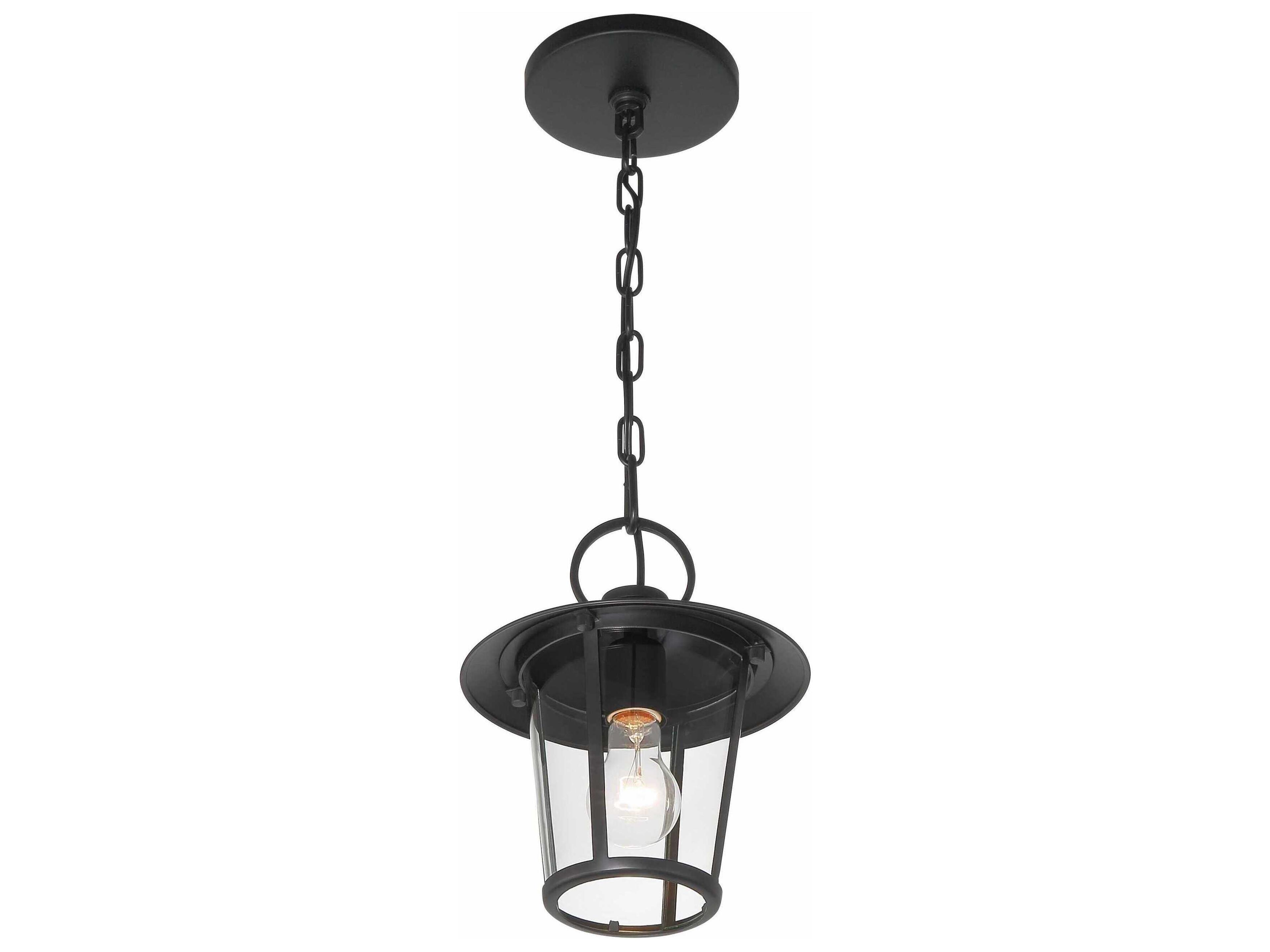 Crystorama Andover 1 - Light Outdoor Hanging Light with Clear Glass Shade