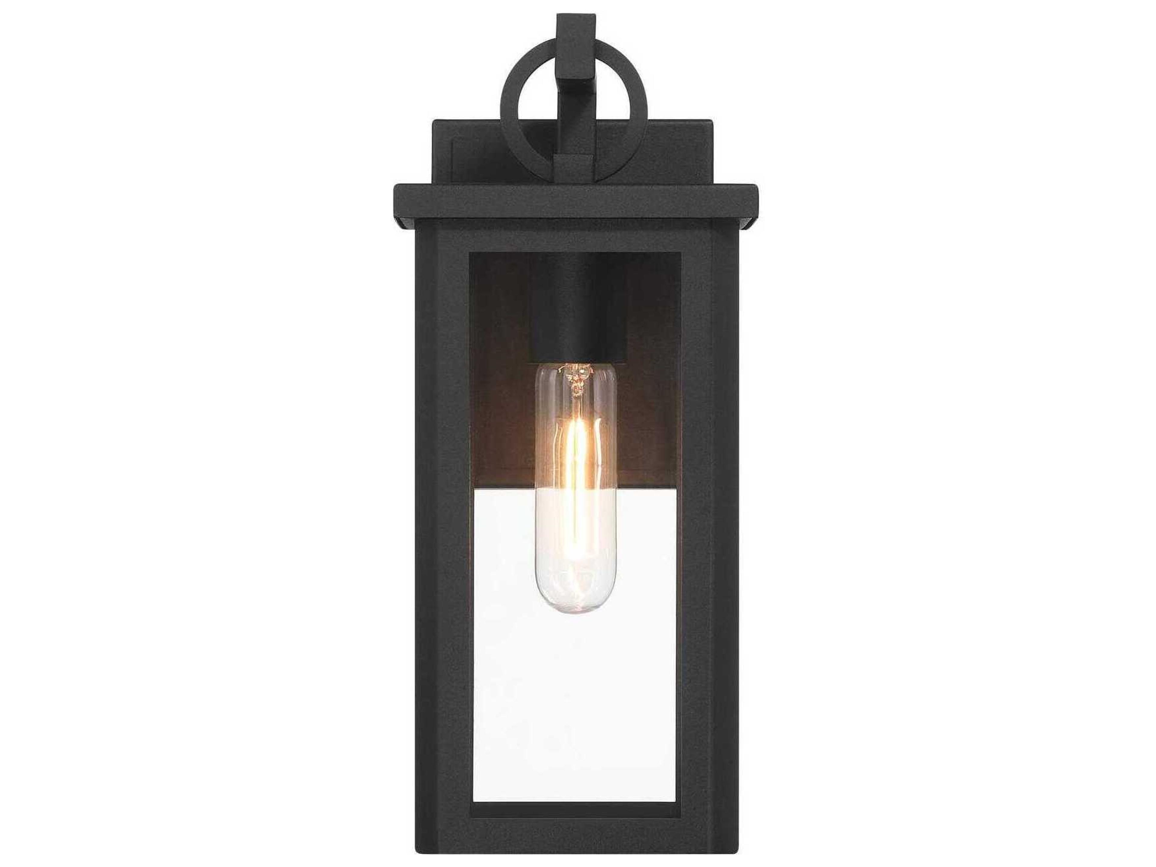 Crystorama Boadie 1-Light Outdoor Wall Light