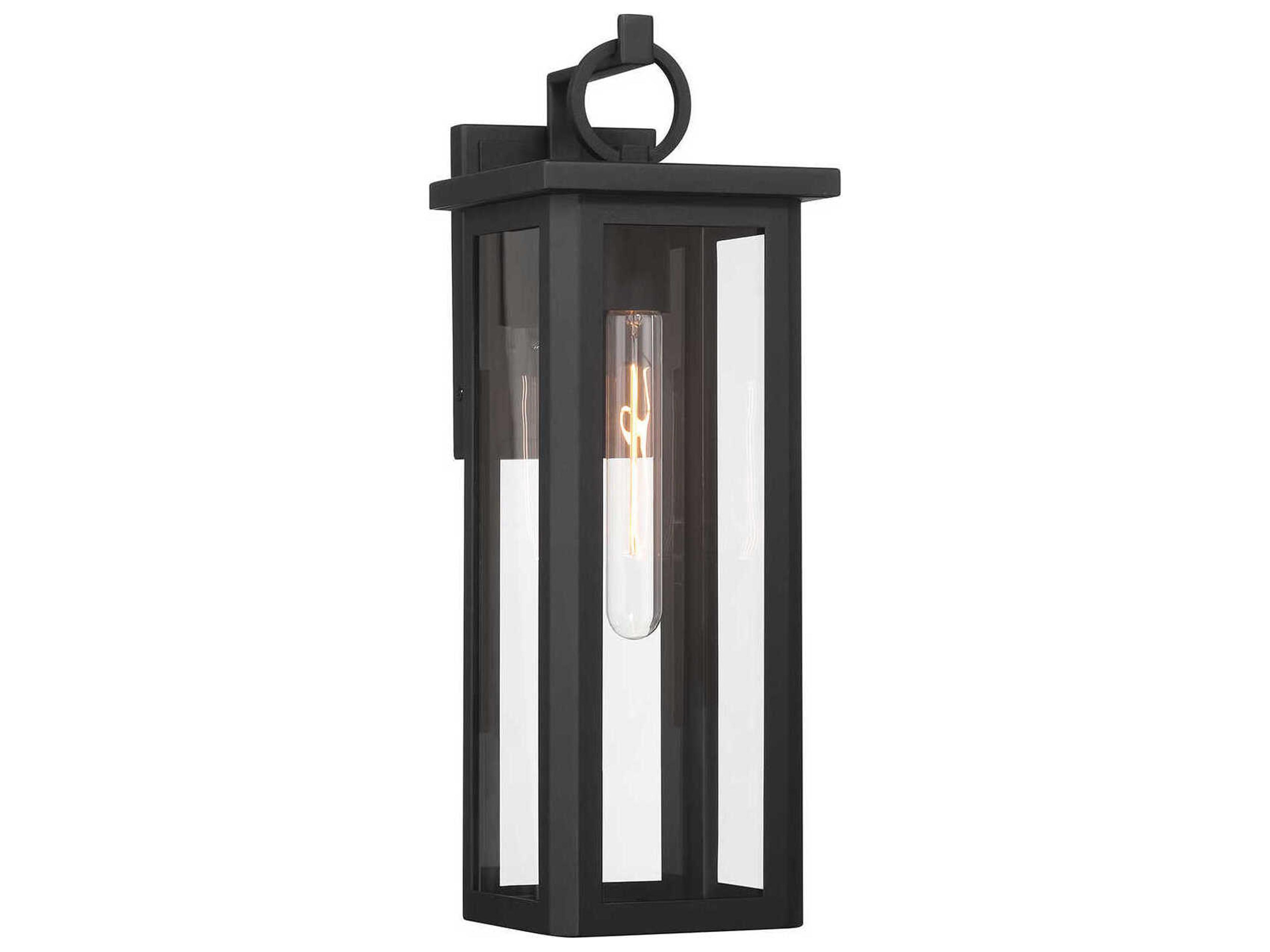 Boadie 1-Light Outdoor Wall Light