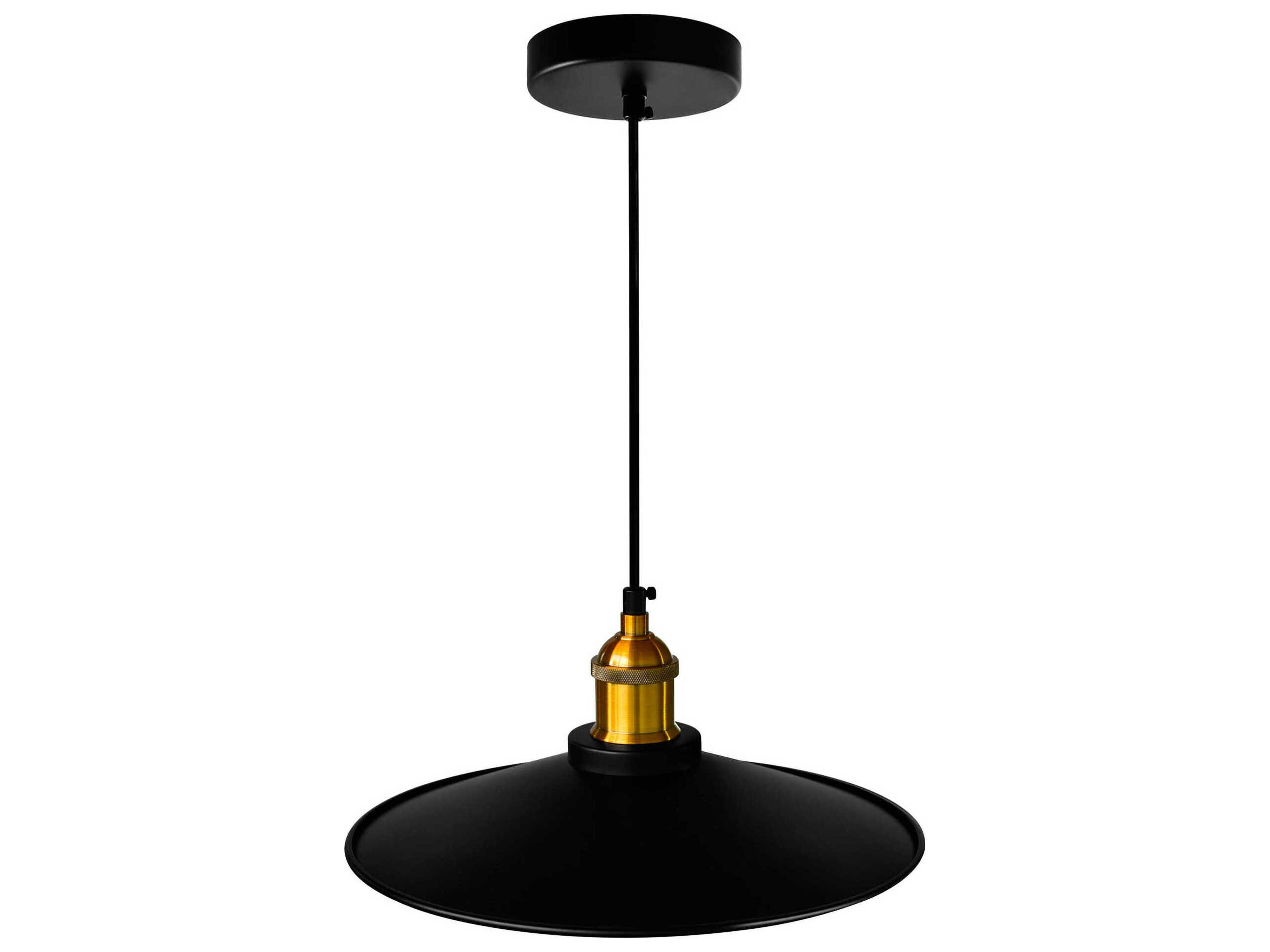 CWI Lighting Brave 1-Light Black Pendant