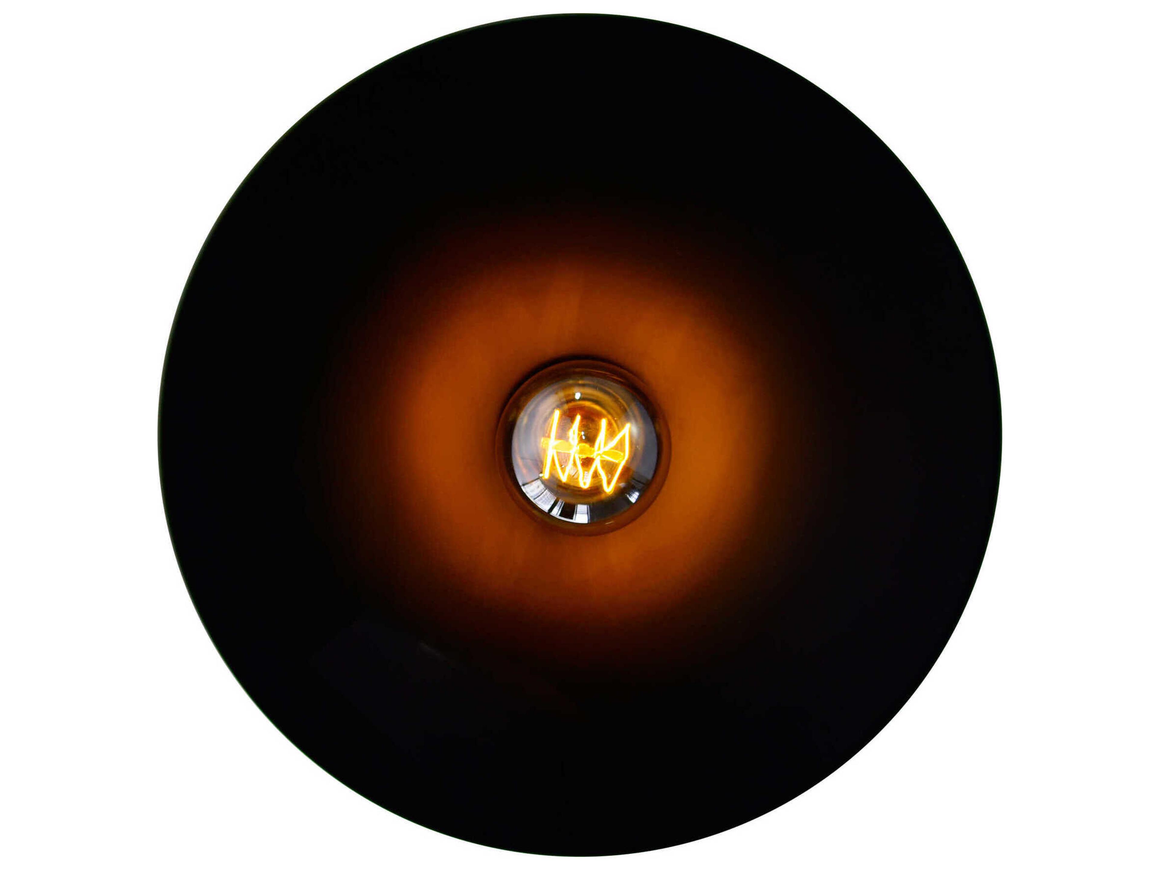 CWI Lighting Brave 1-Light Black Pendant