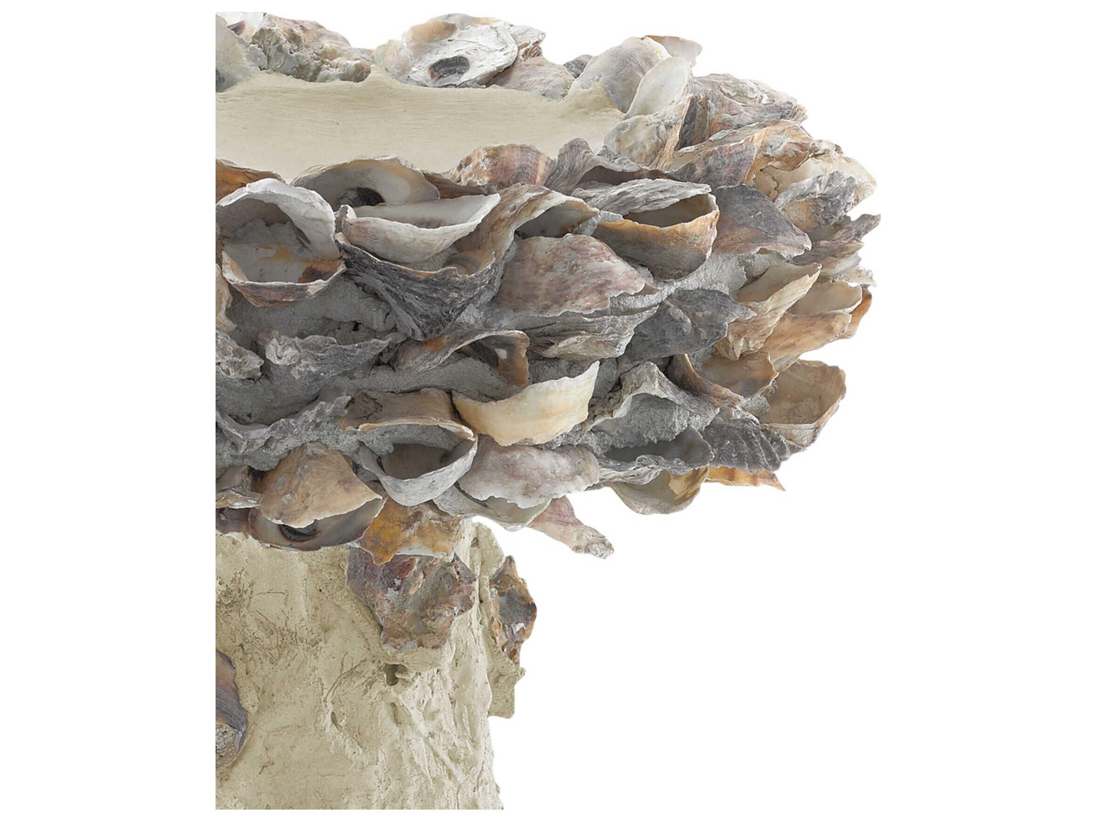 Currey & Company Oyster Shell Small Bird Bath