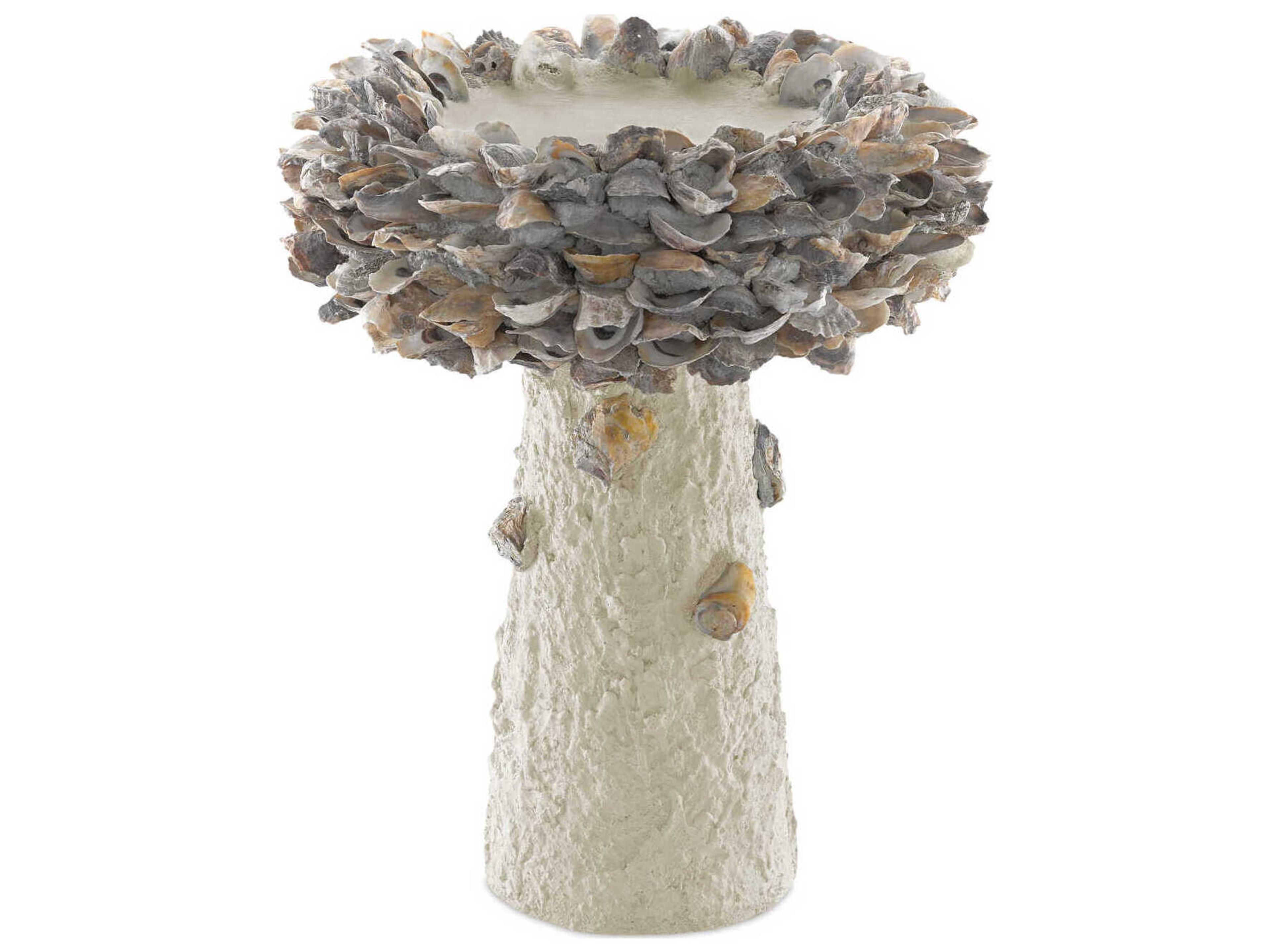 Currey & Company Oyster Shell Medium Bird Bath