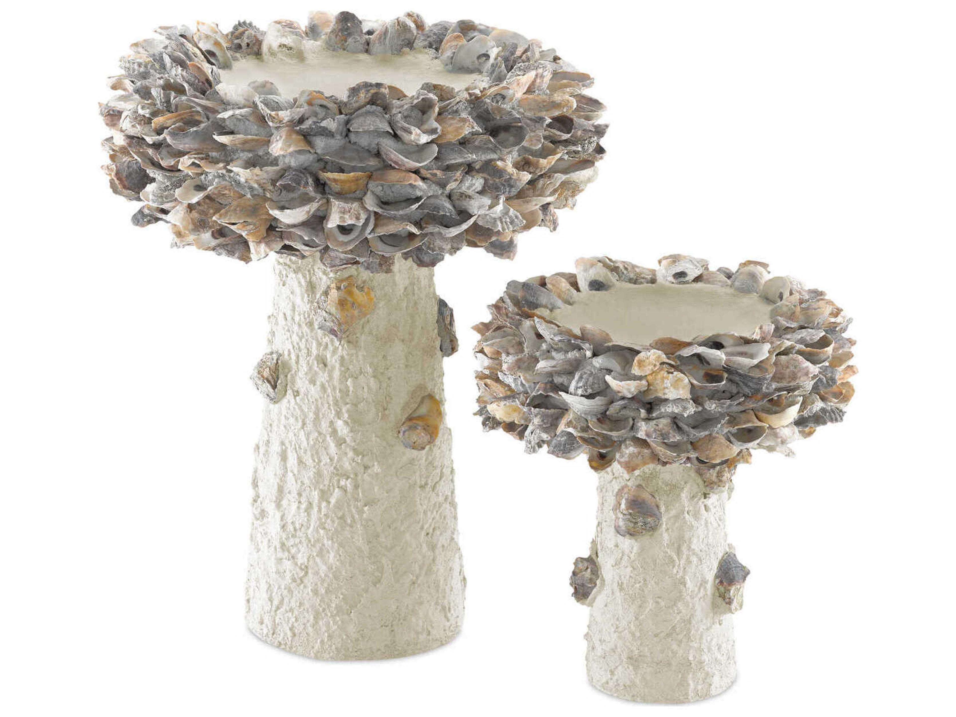 Currey & Company Oyster Shell Medium Bird Bath