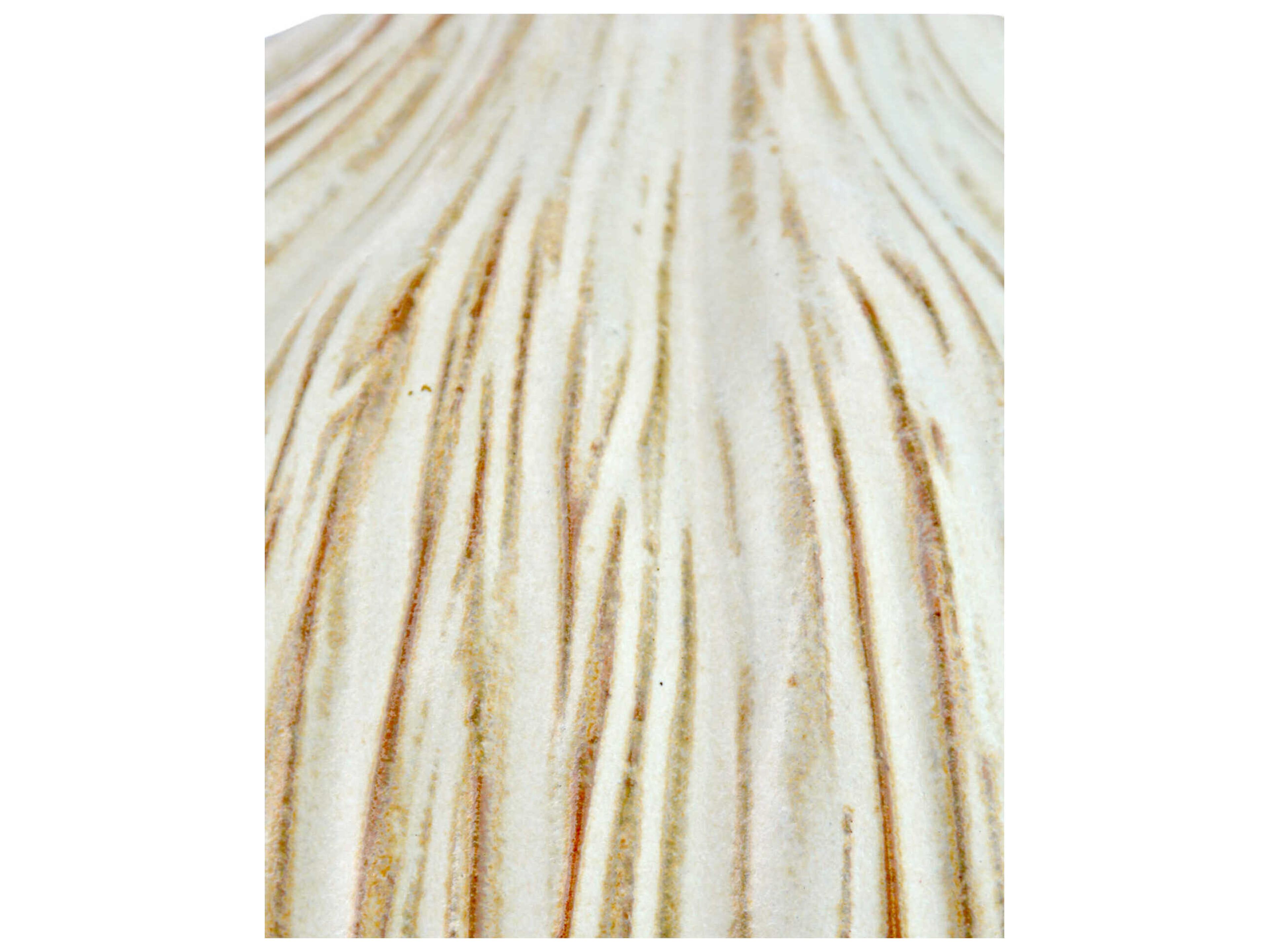 Currey & Company Milky White 7" High Garlic Bulb Sculpture