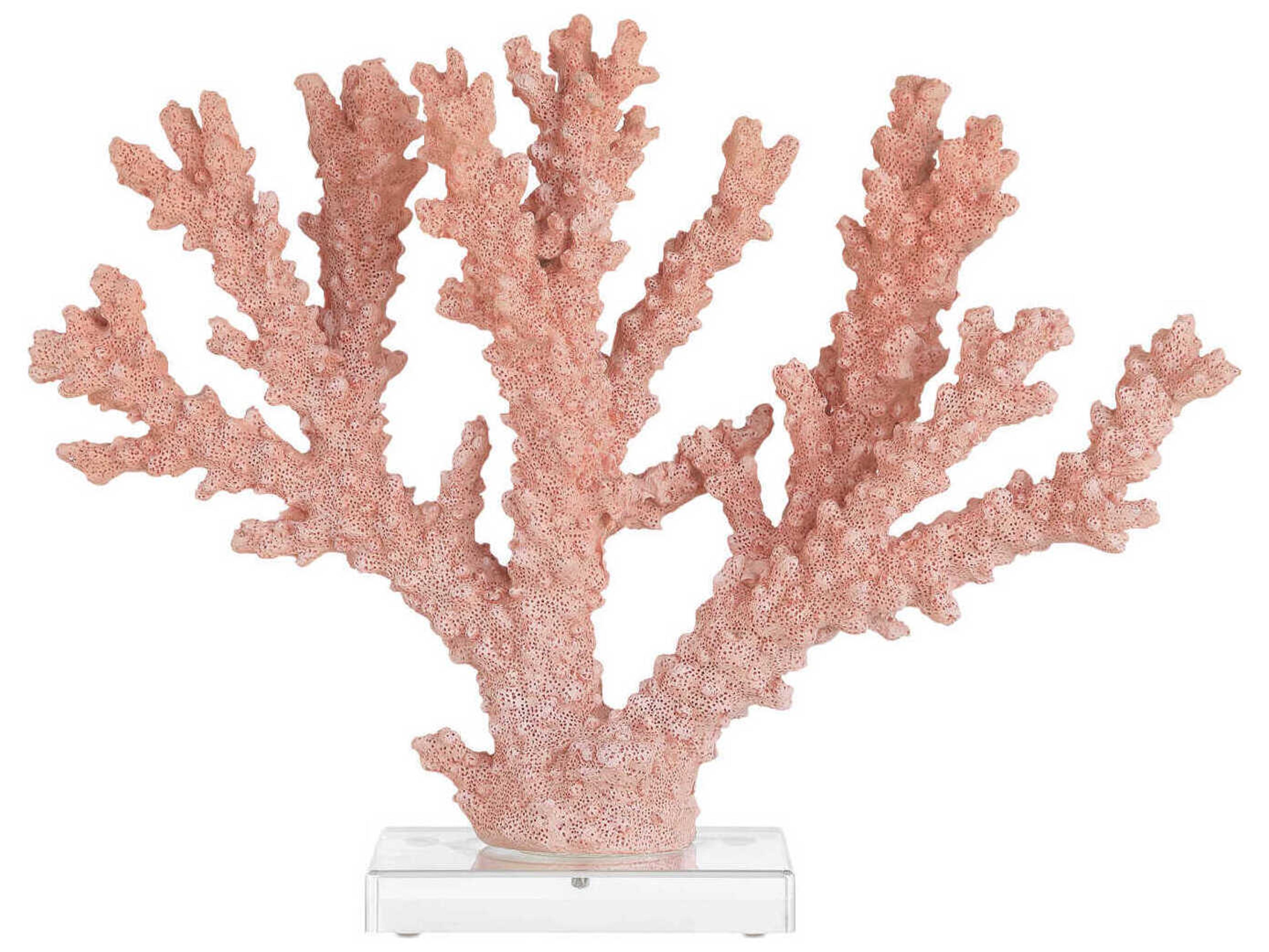Fire Coral