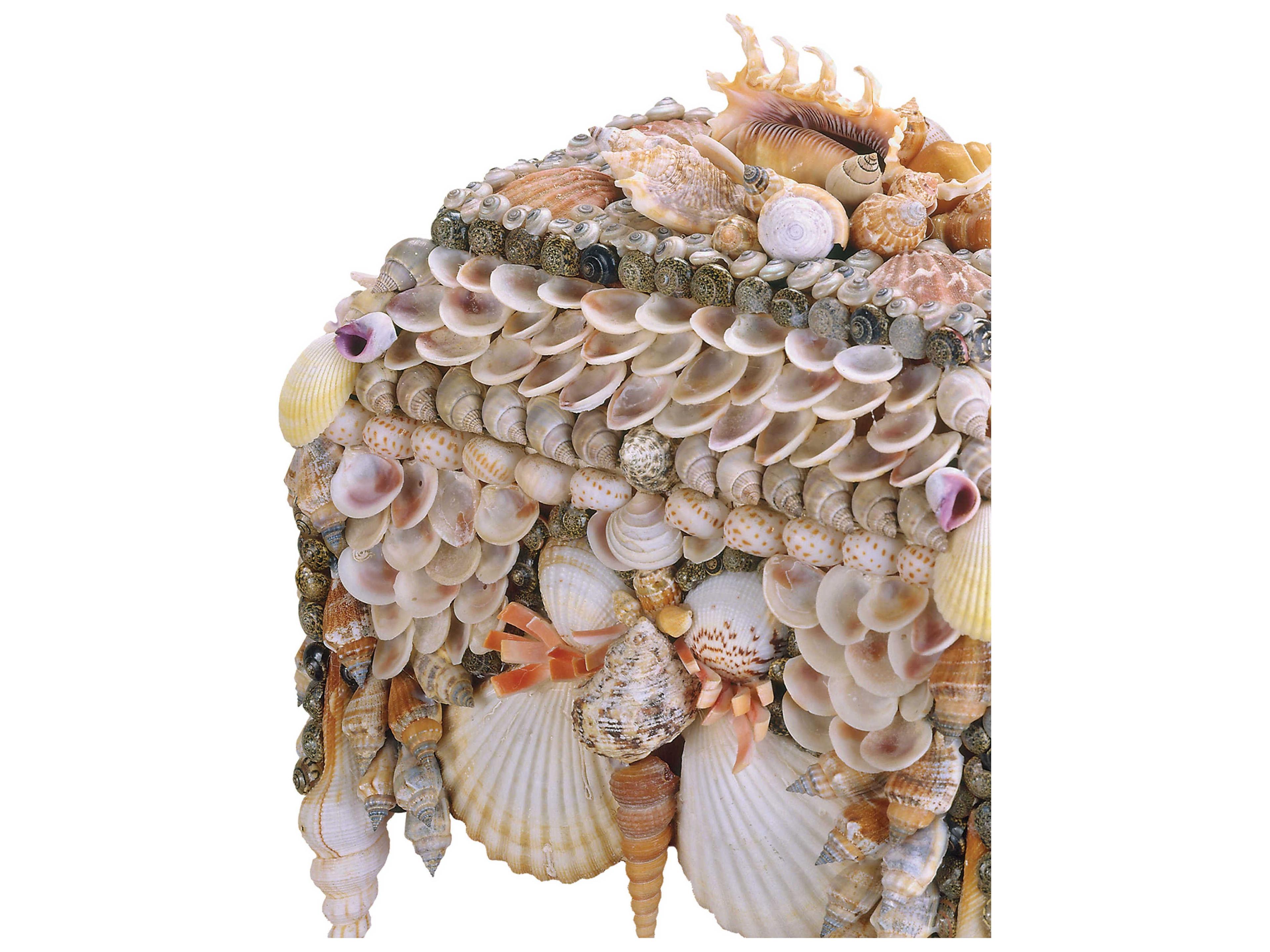 Currey & Company Boardwalk Natural Shell Jewelry Box