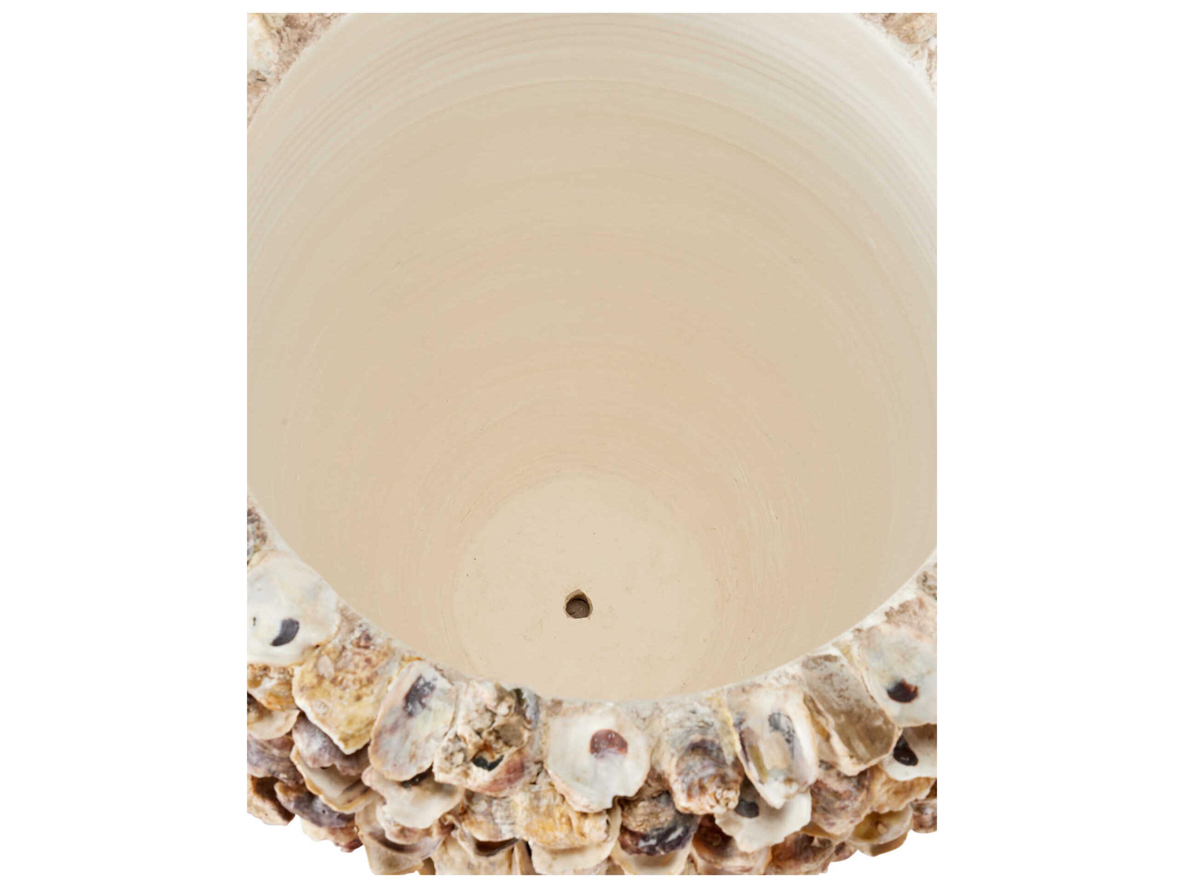 Currey & Company Oyster Shell Portland Planter
