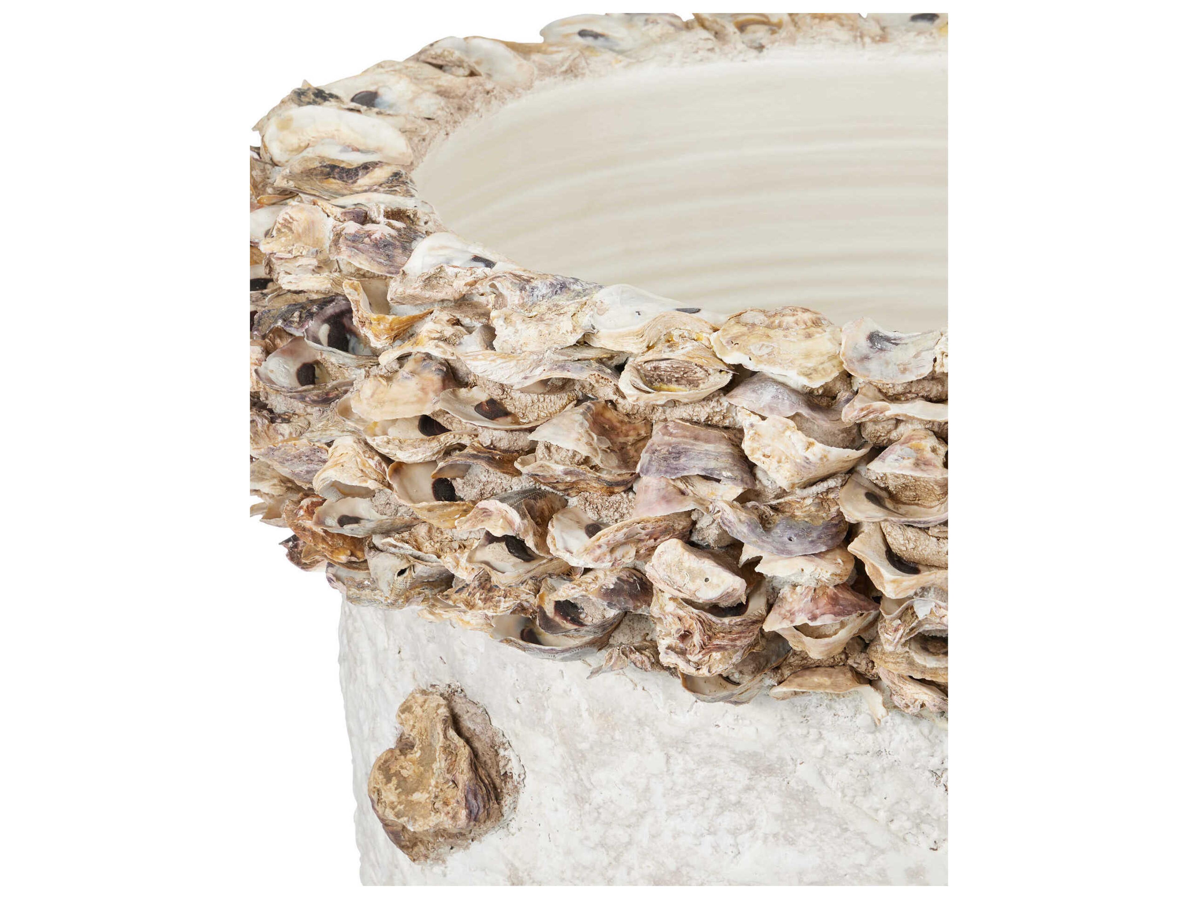 Currey & Company Oyster Shell Portland Planter