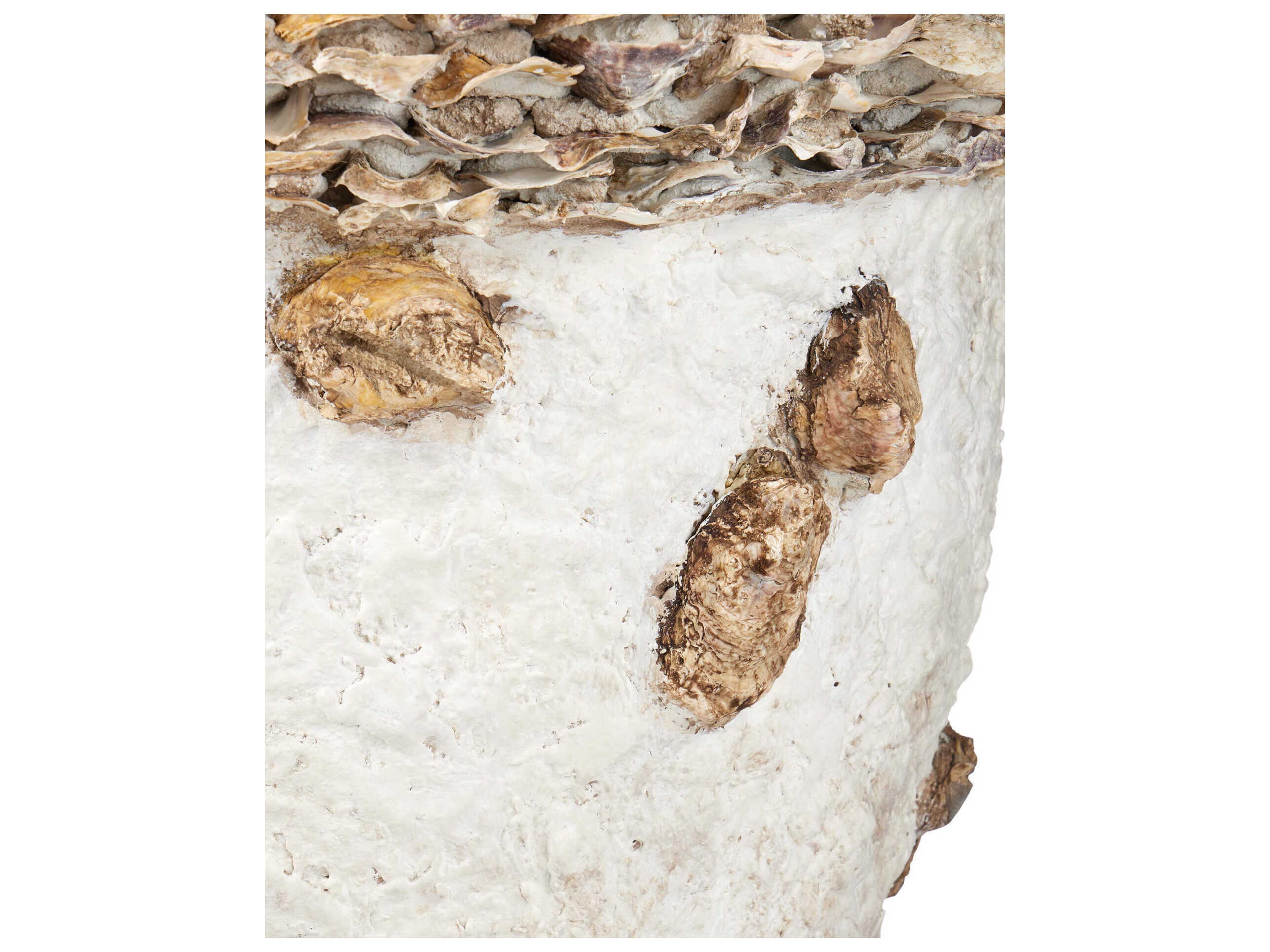 Currey & Company Oyster Shell Portland Planter