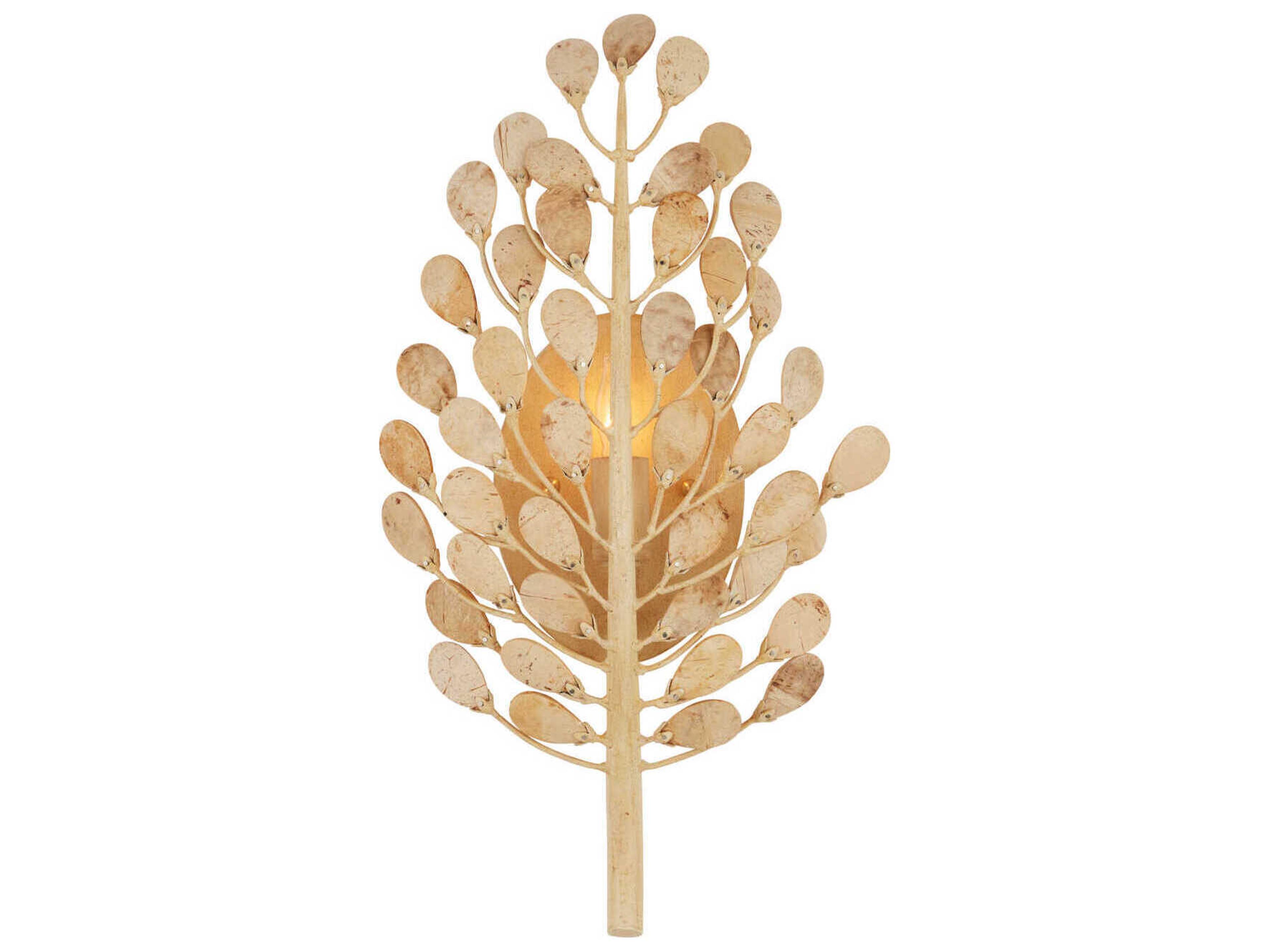 Currey & Company Maypan 1-Light Natural Coco Cream Wall Sconce