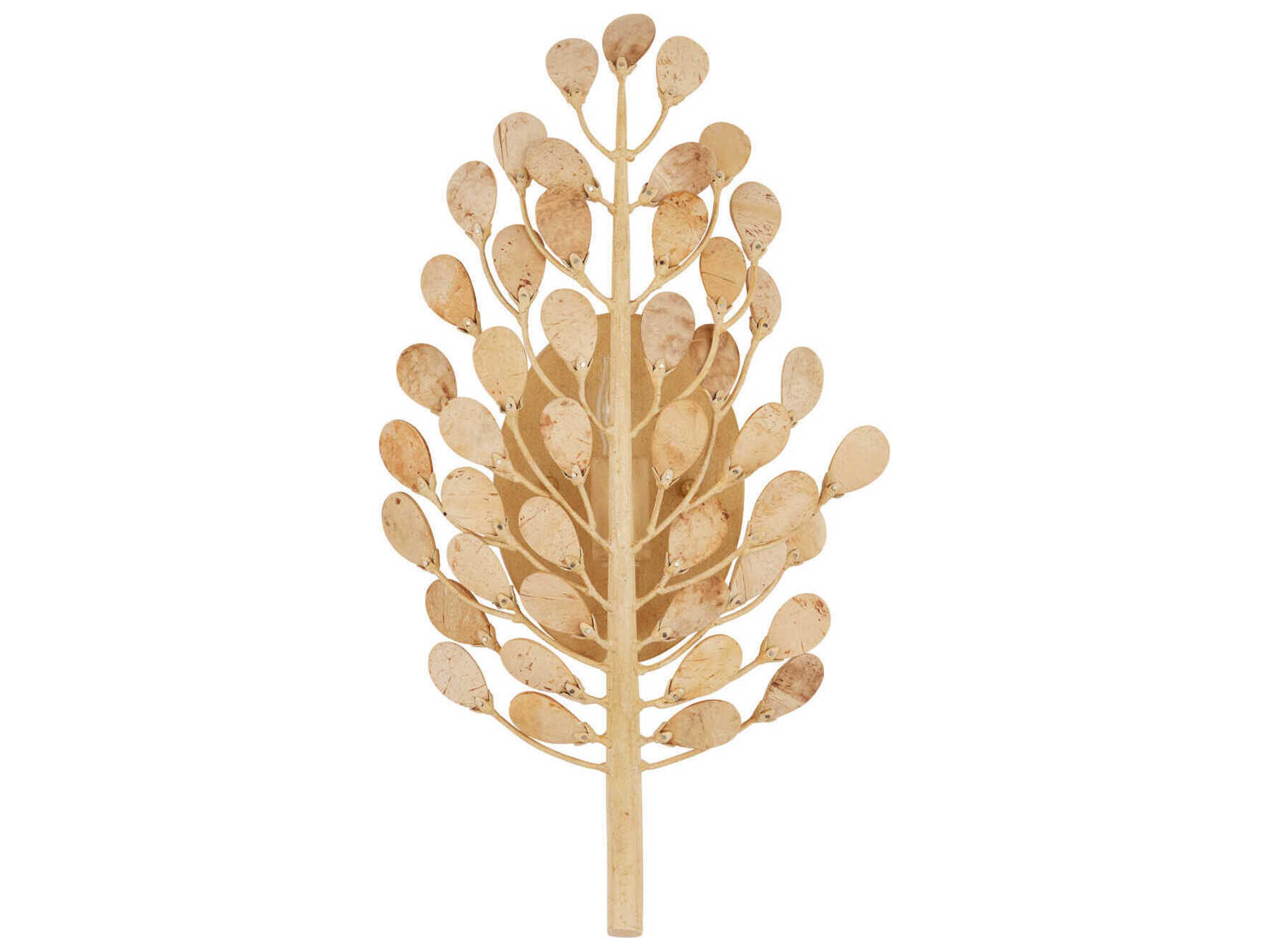 Currey & Company Maypan 1-Light Natural Coco Cream Wall Sconce