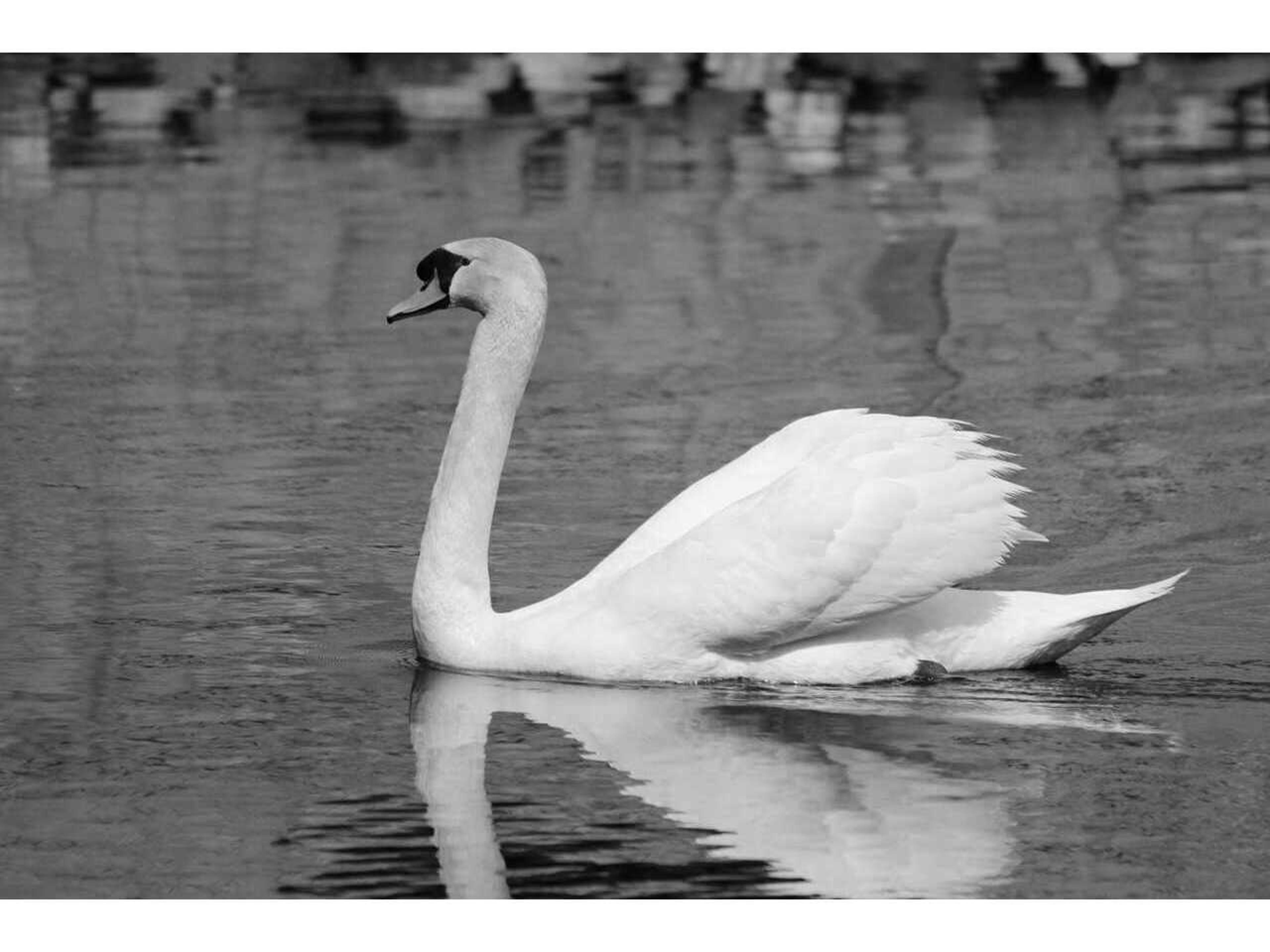 Daleno She is Out for the Day Wall Art