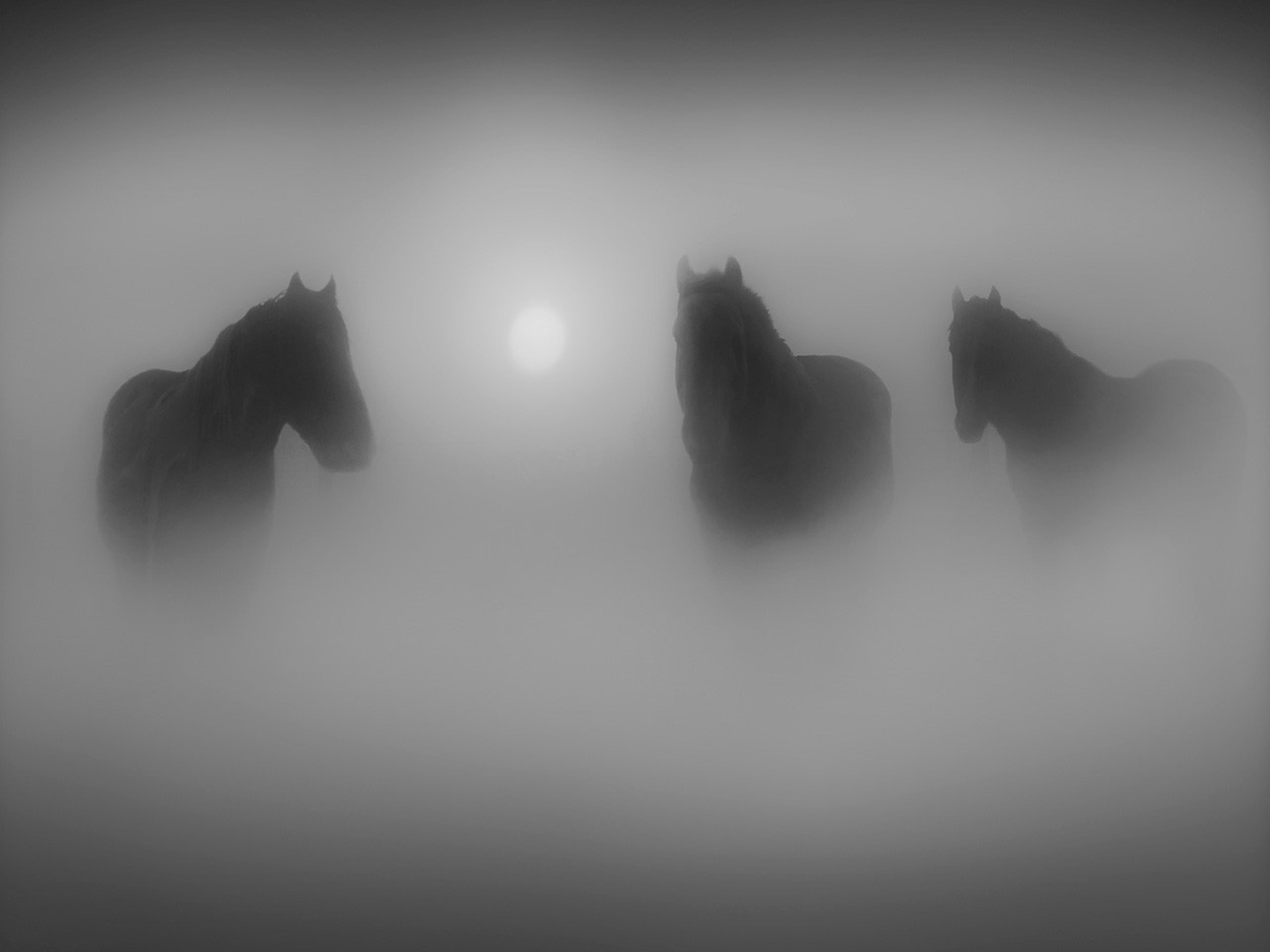 Daleno Barn Focused II Wall Art