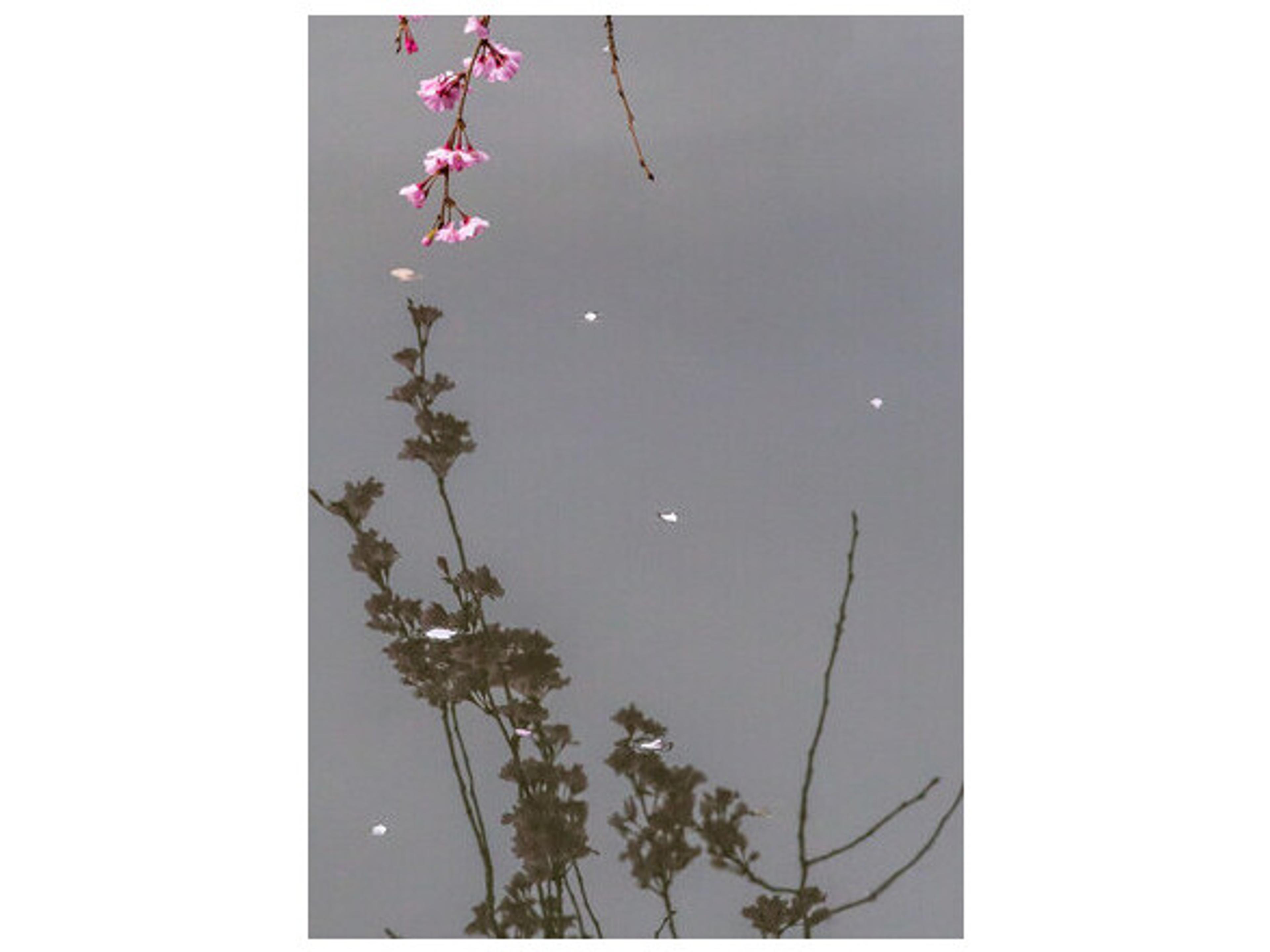 Daleno Fallen Gems Wall Art