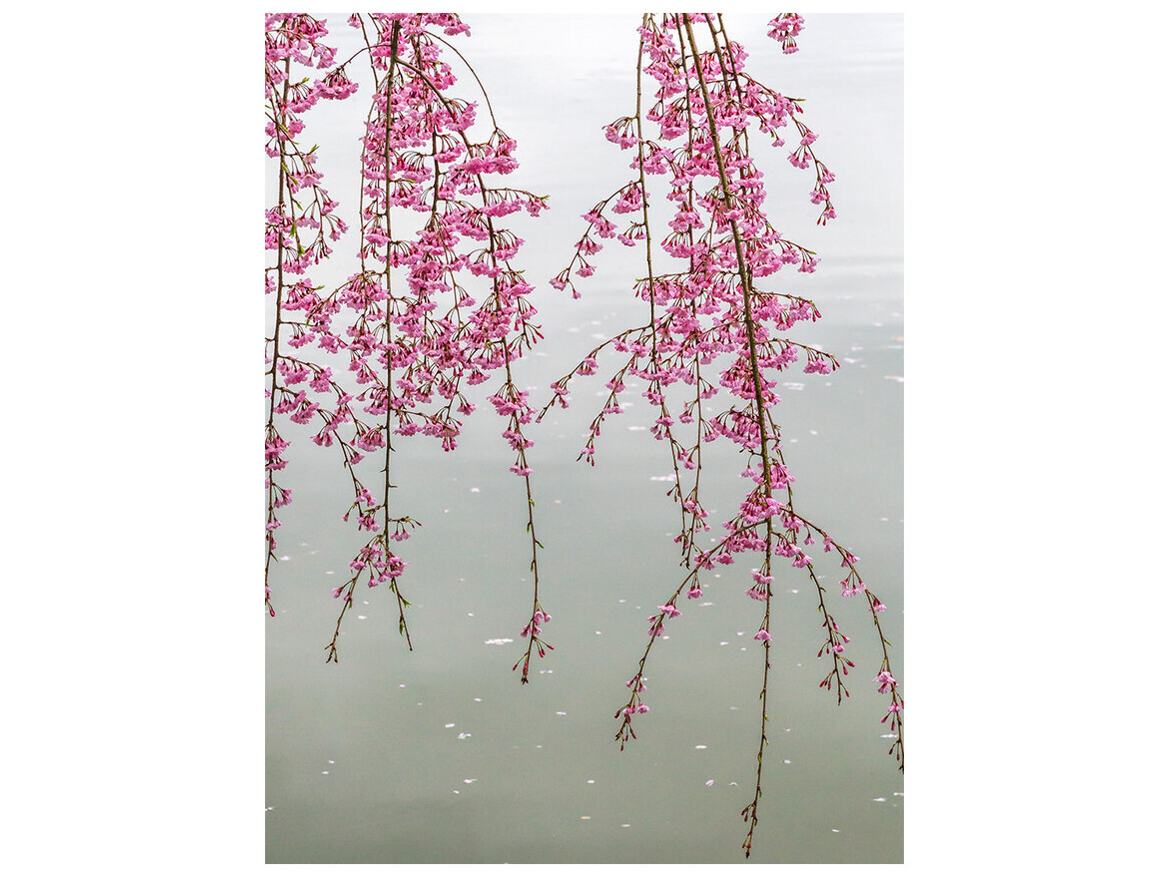 Daleno Pattern Sprawl Wall Art