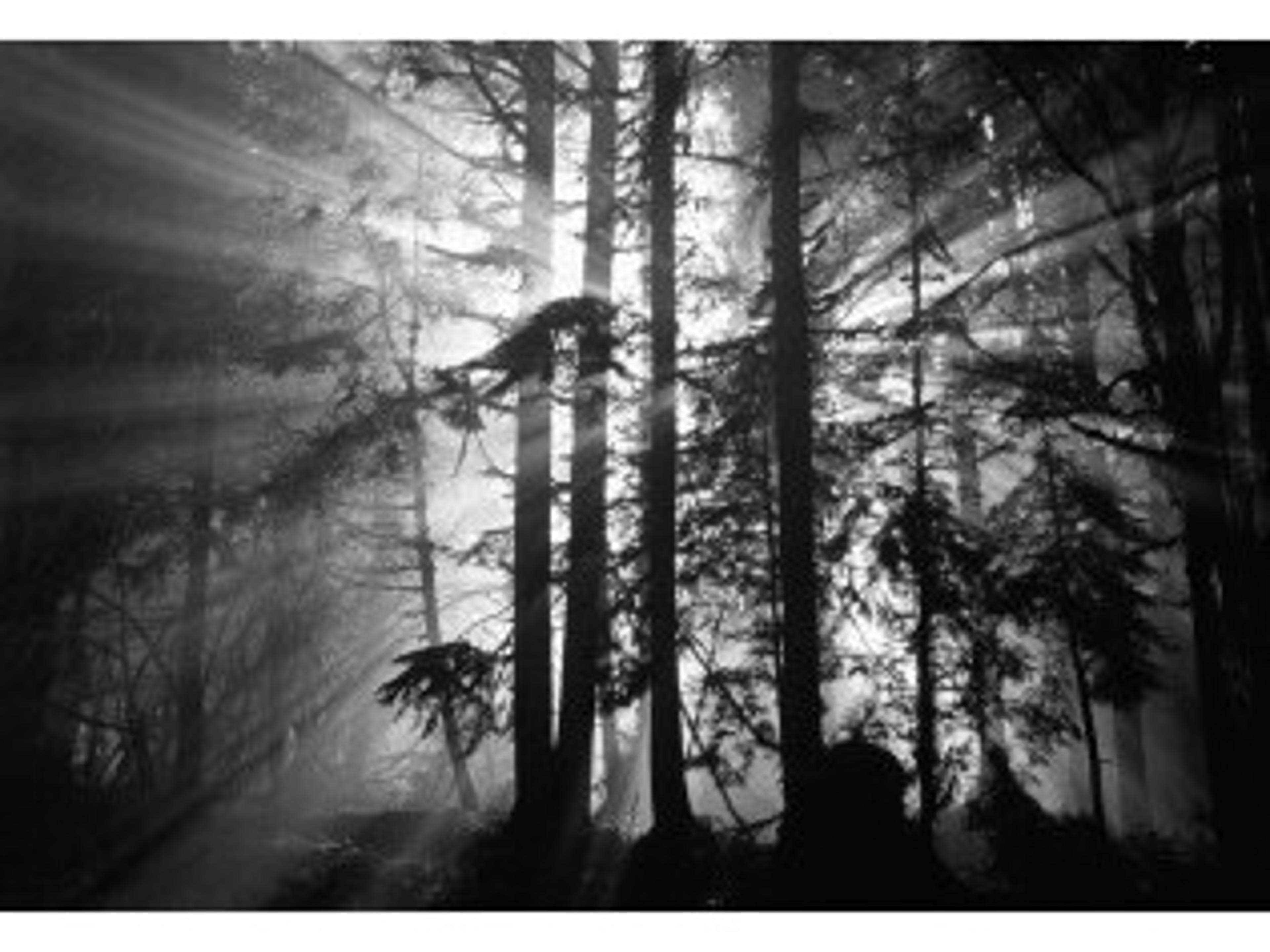 Broken Rays Wall Art