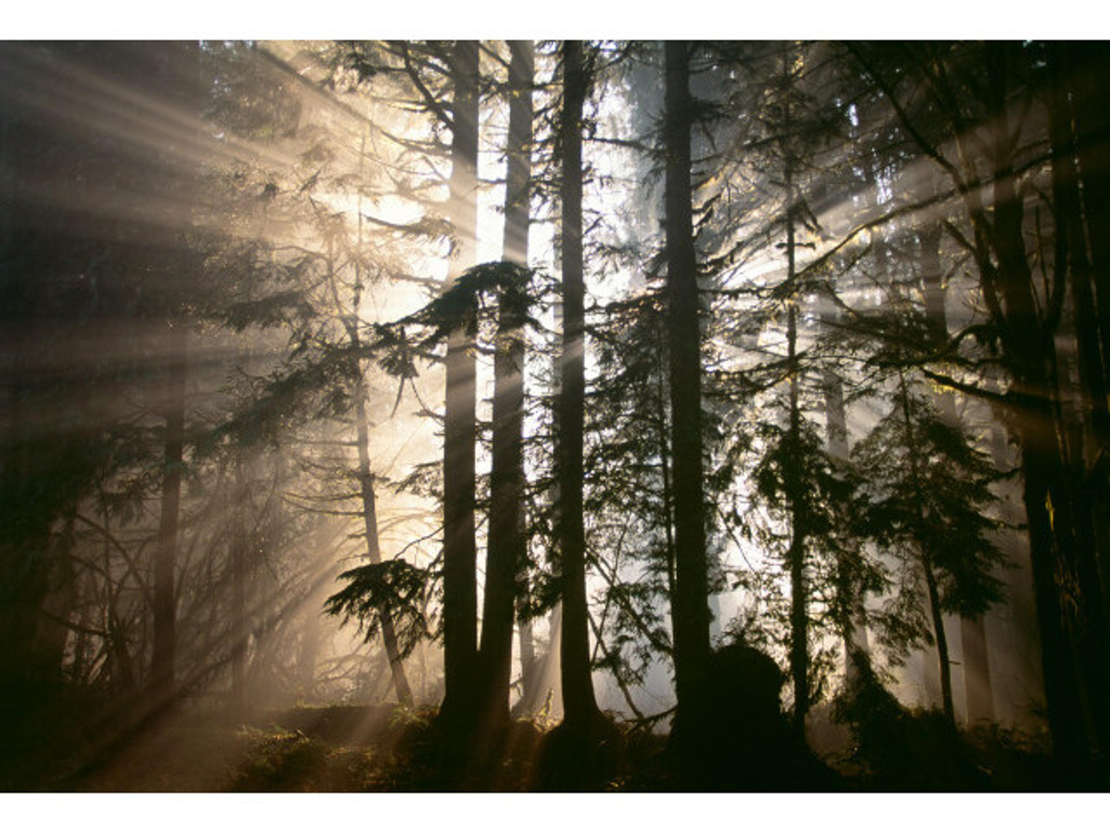 Daleno Broken Rays II Wall Art