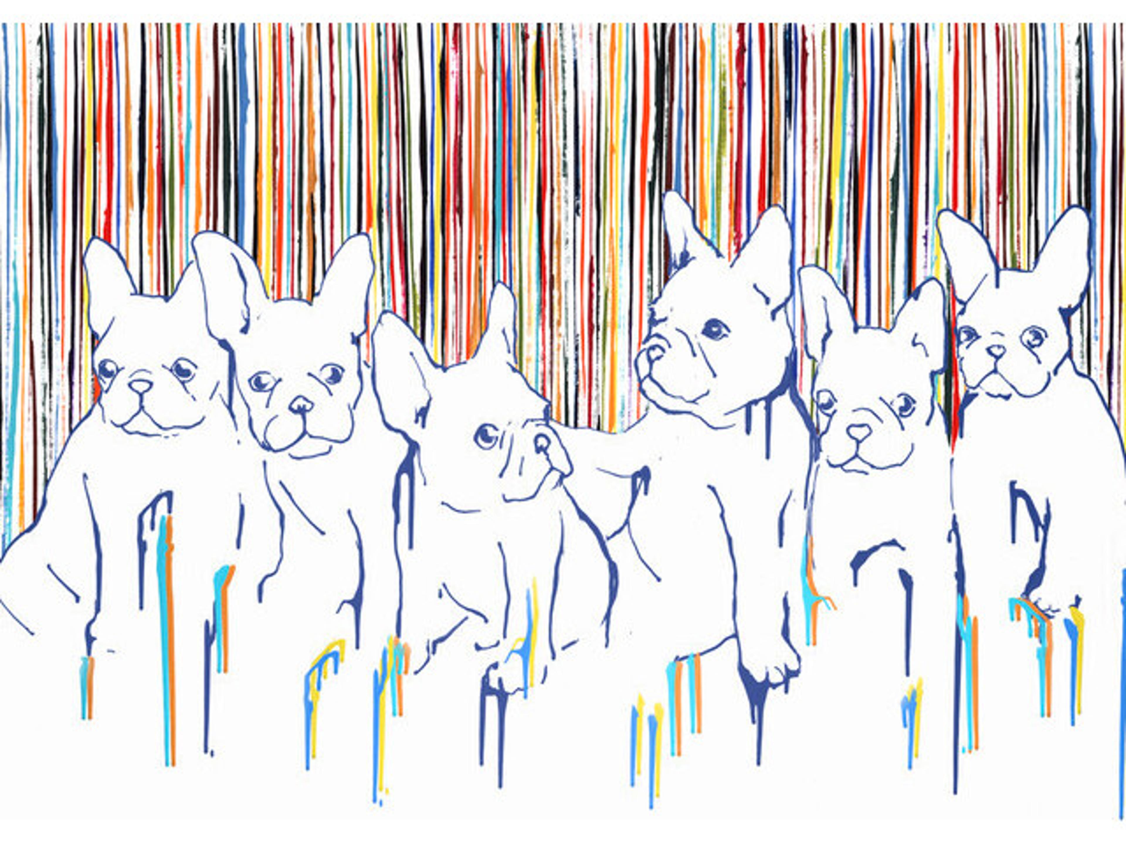 Daleno Colorful Litter Wall Art