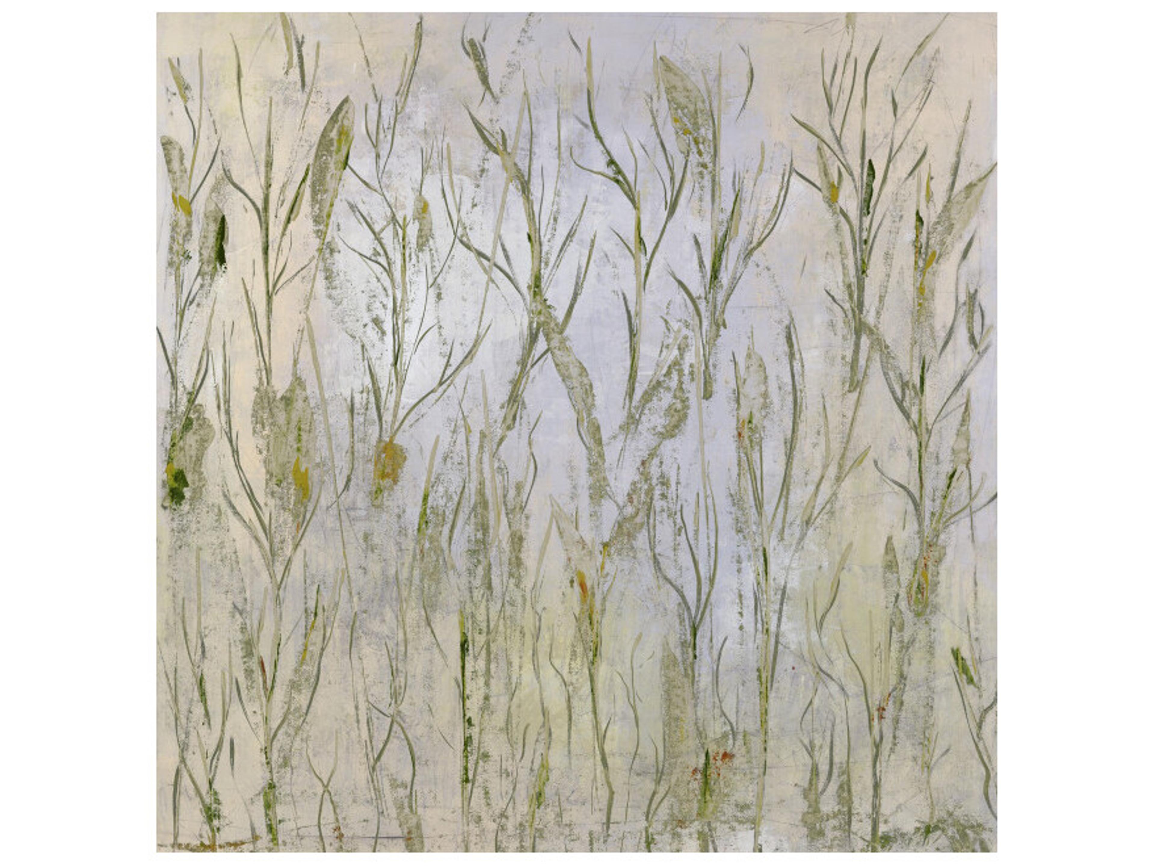 Daleno A Patch of Perfection Wall Art