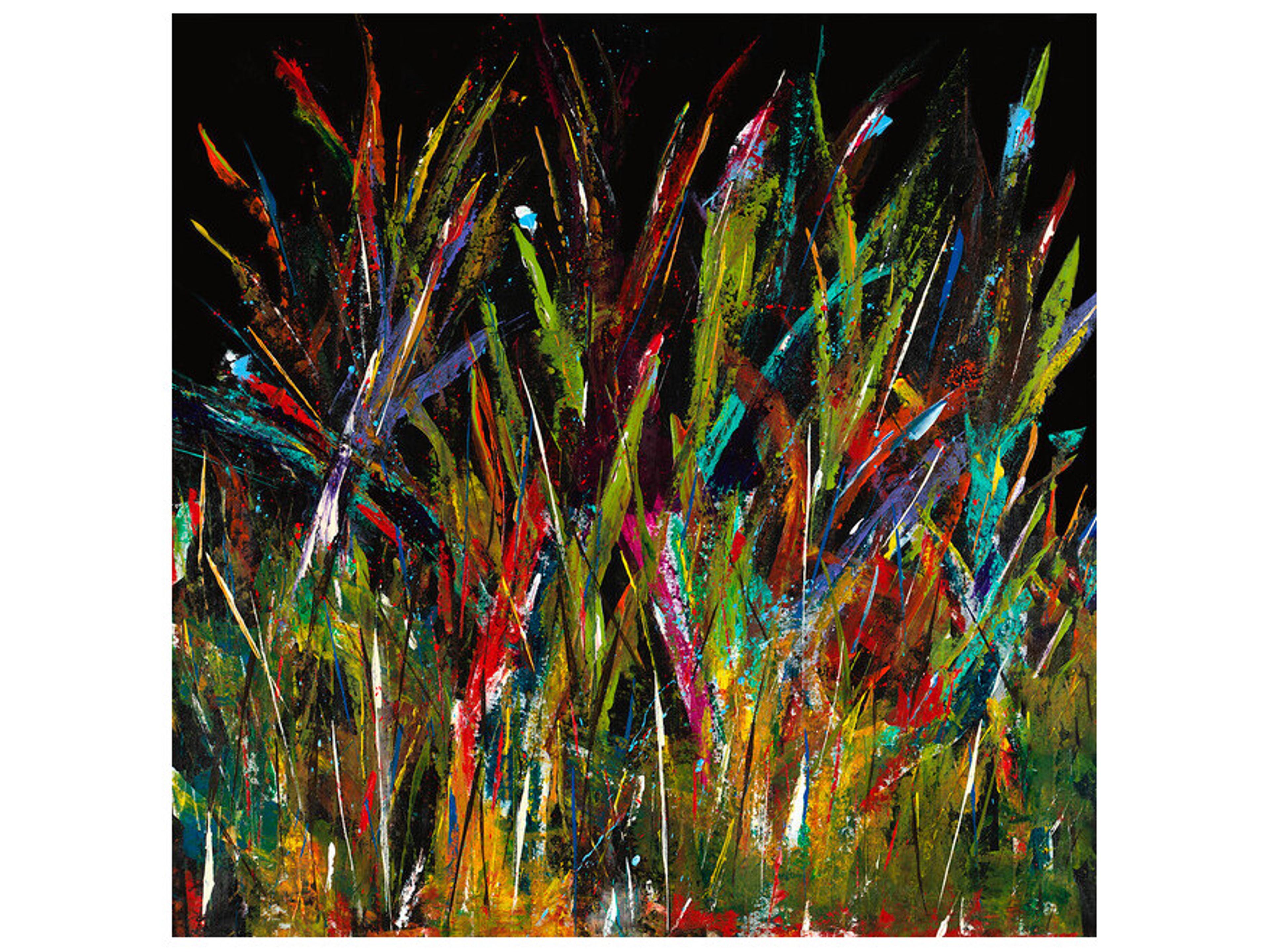 Daleno Rainforest Rainbows Wall Art