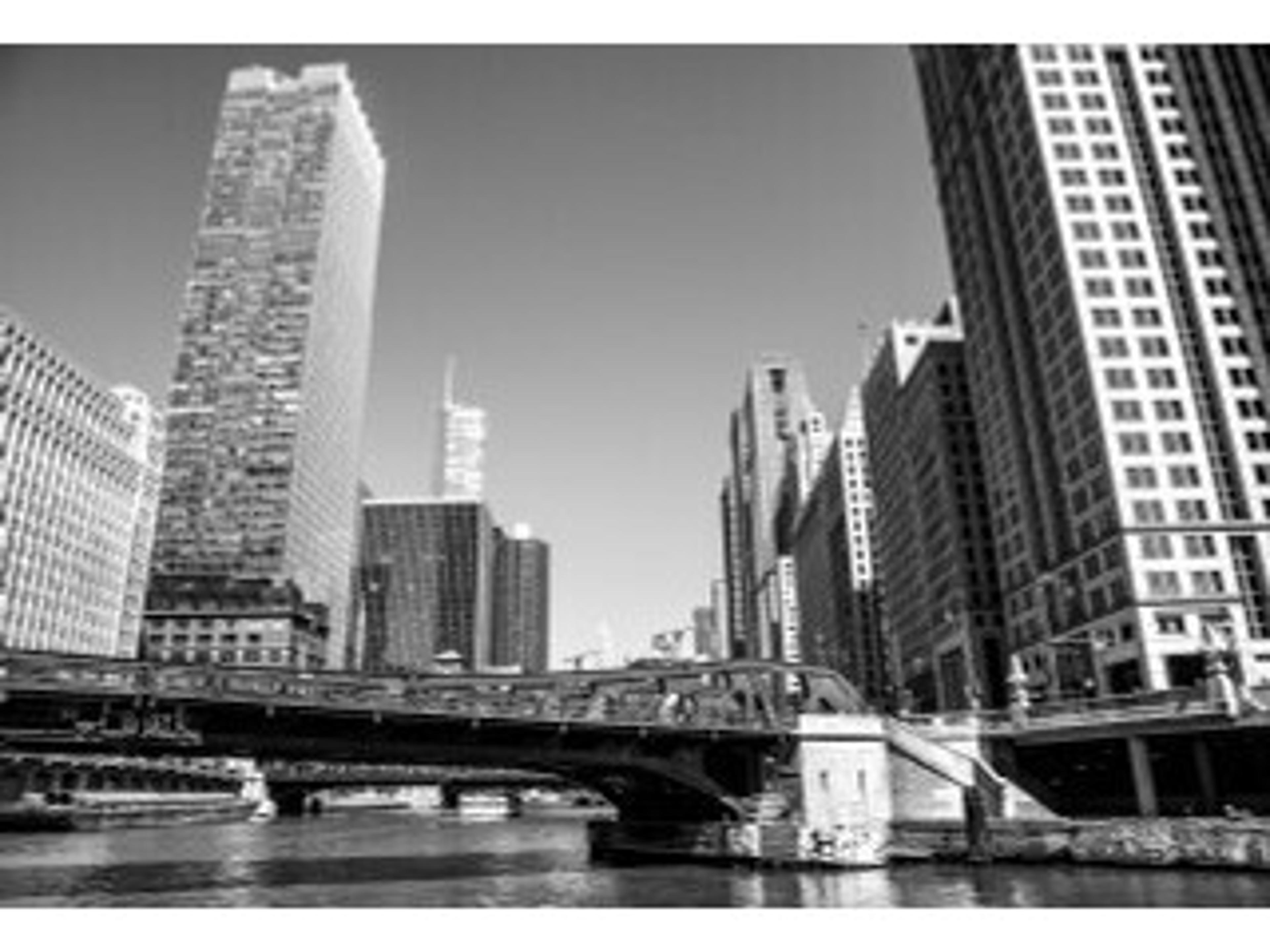 Daleno Commuter Wall Art