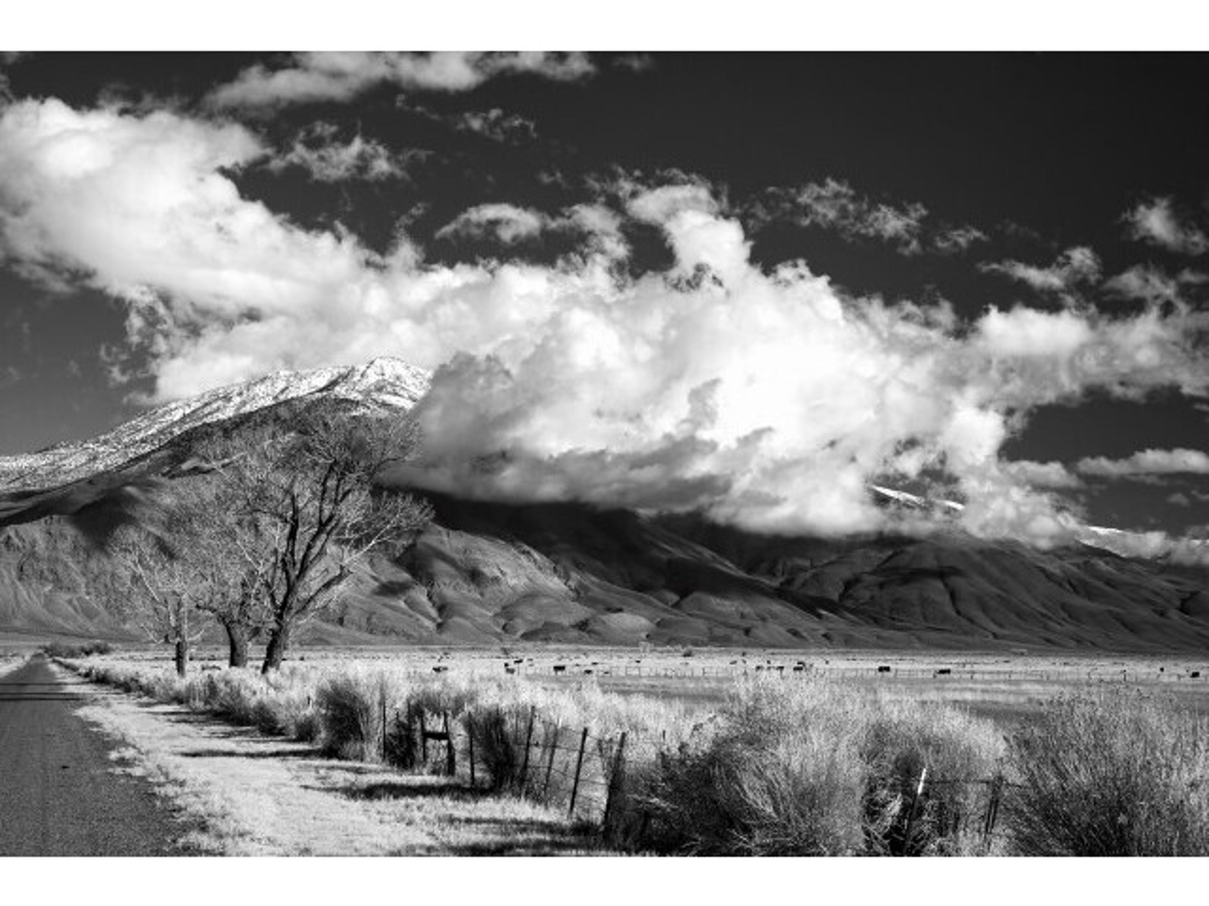 A Silent Drive Wall Art