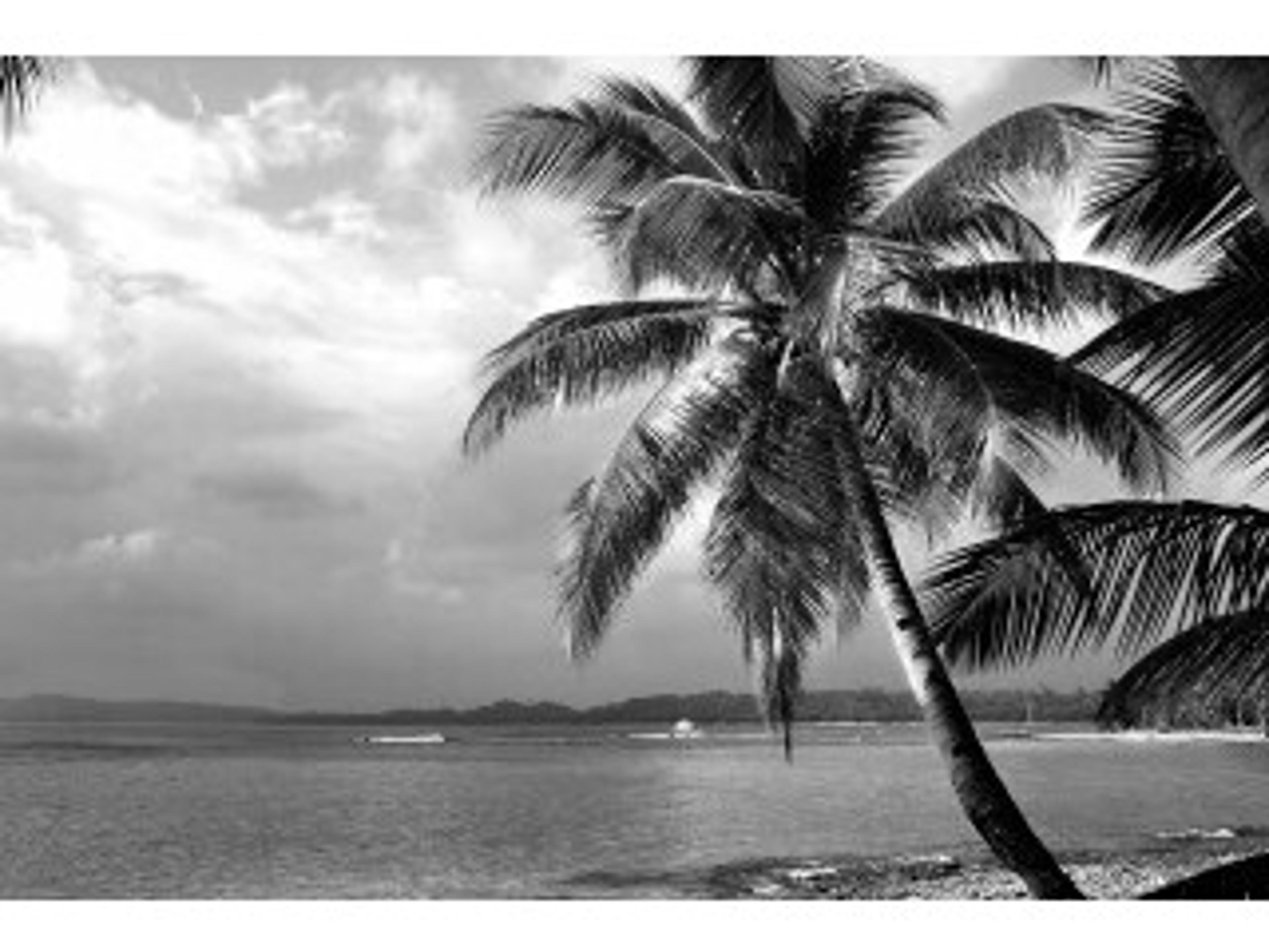 Daleno Cocktail Island I Wall Art