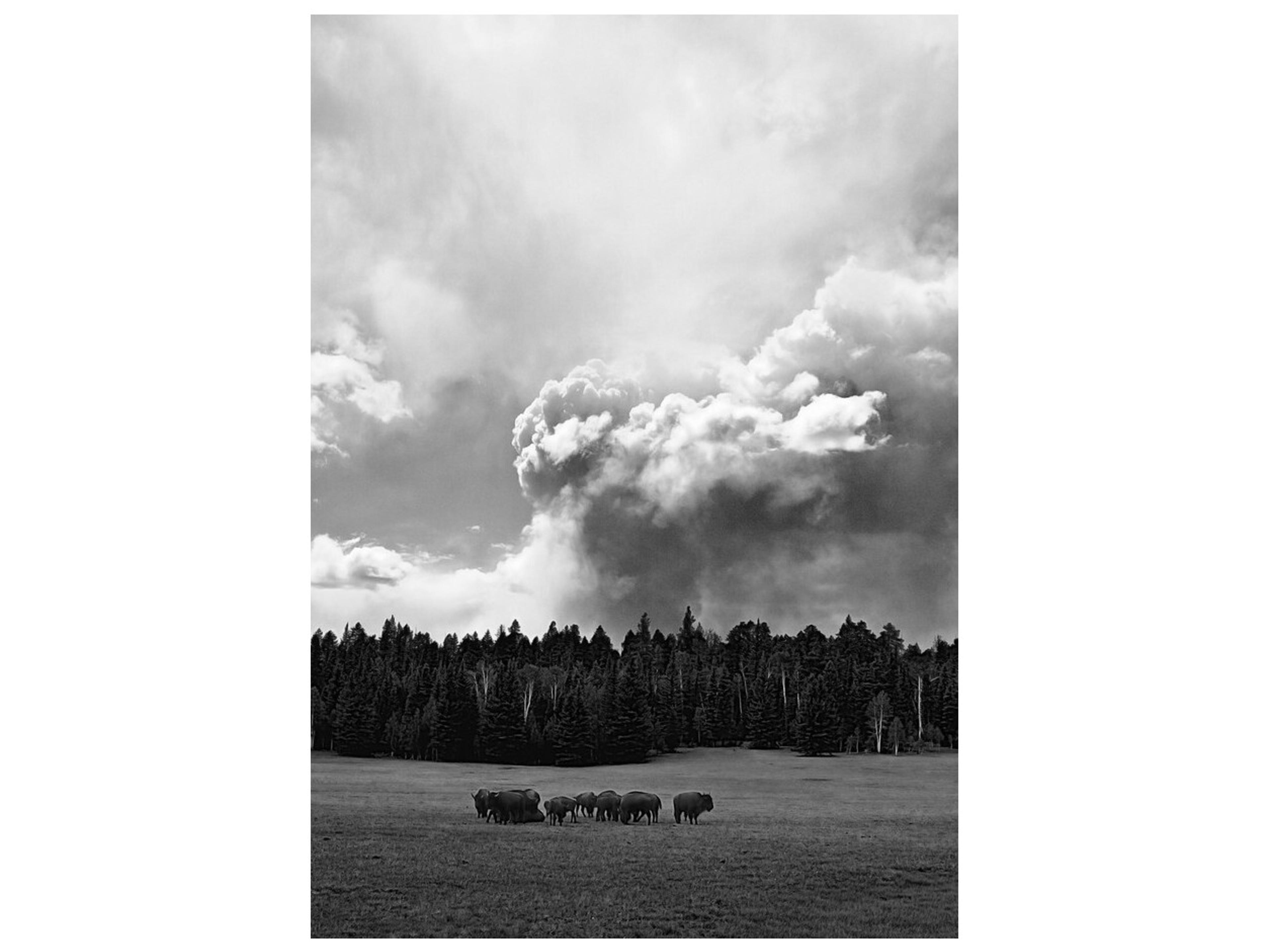 Daleno Evening Gathering Wall Art