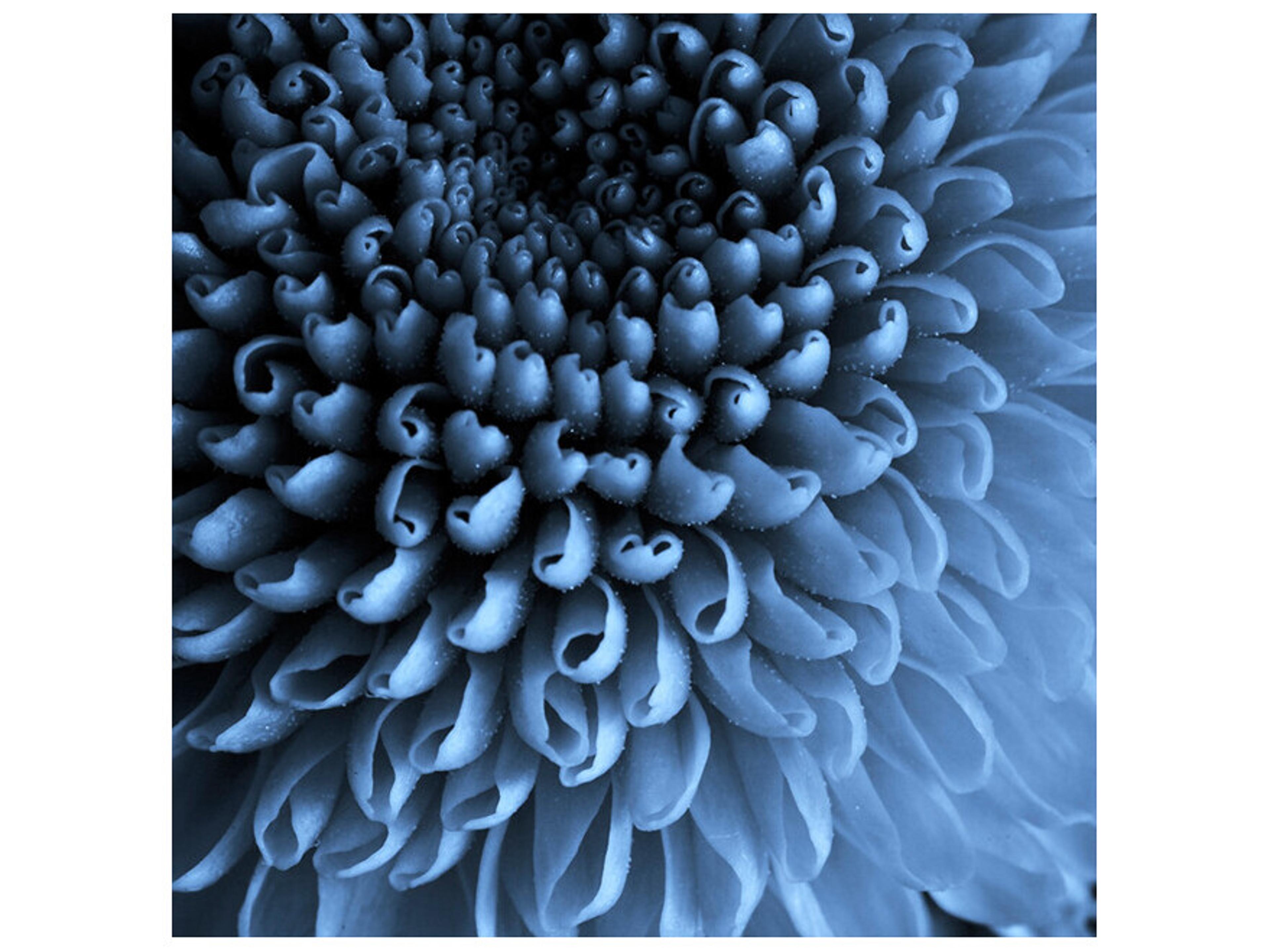 Plus or Minus Wall Art