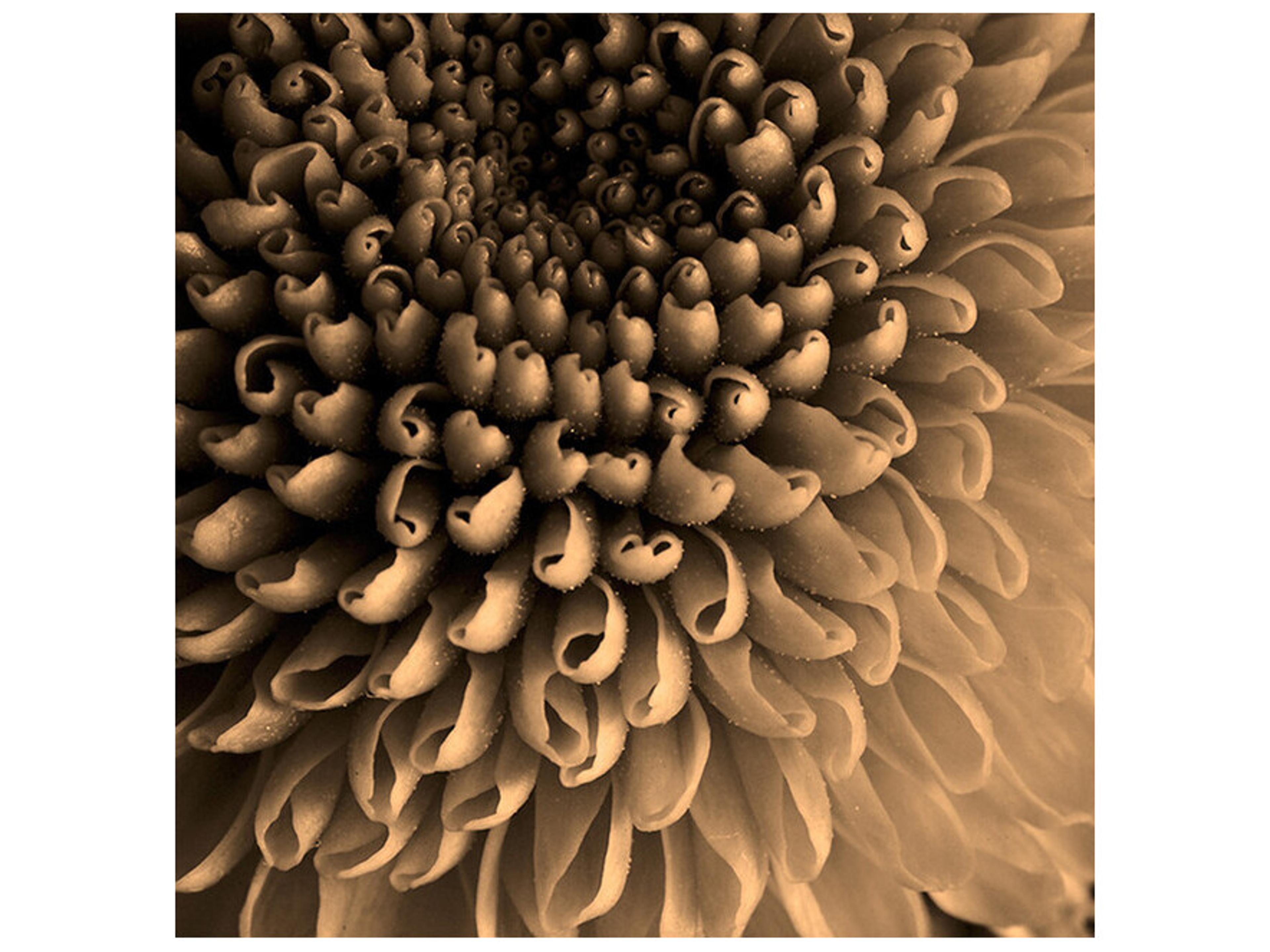 Daleno Out and Open Wall Art