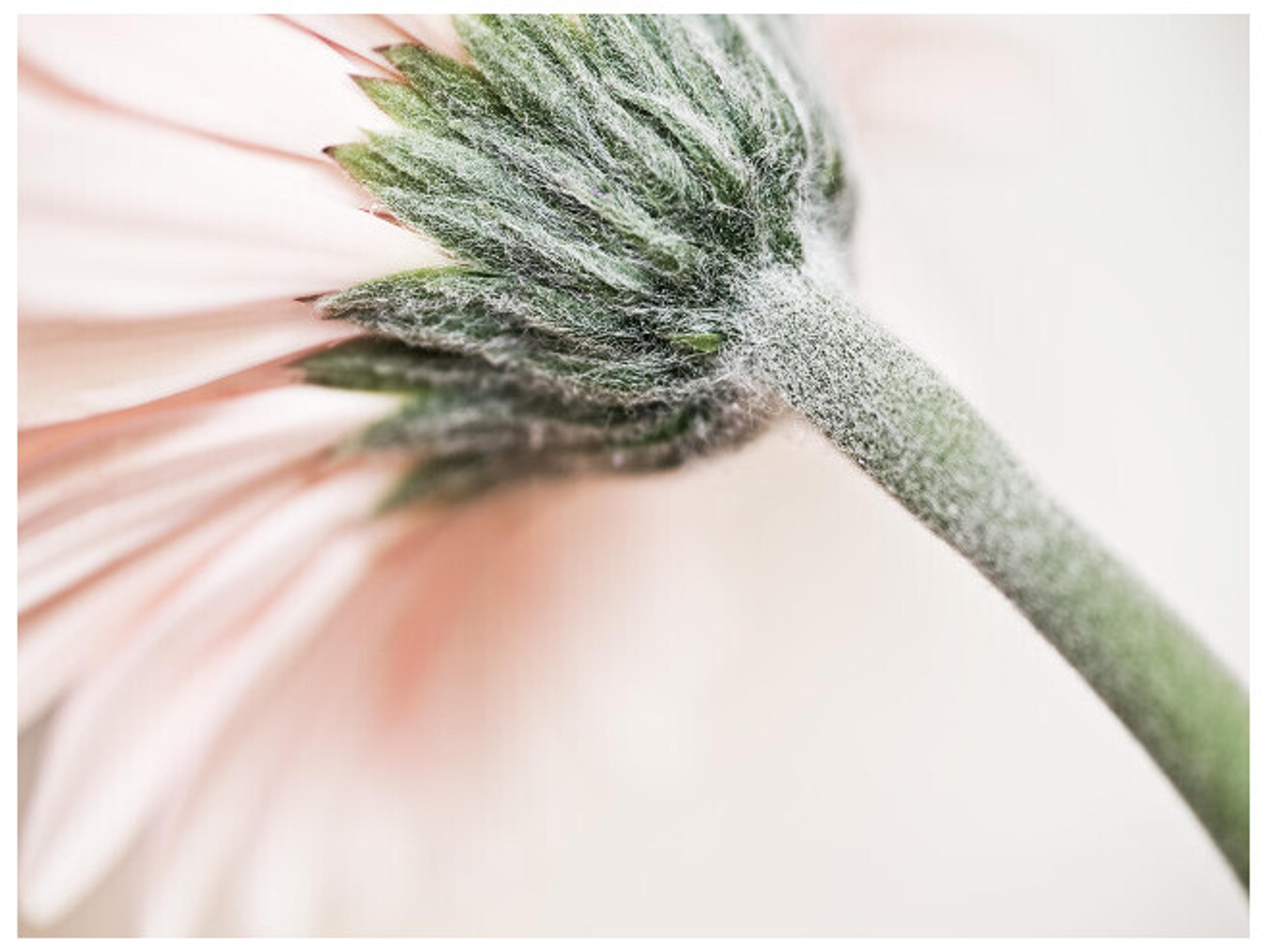 Trenton Place I Wall Art