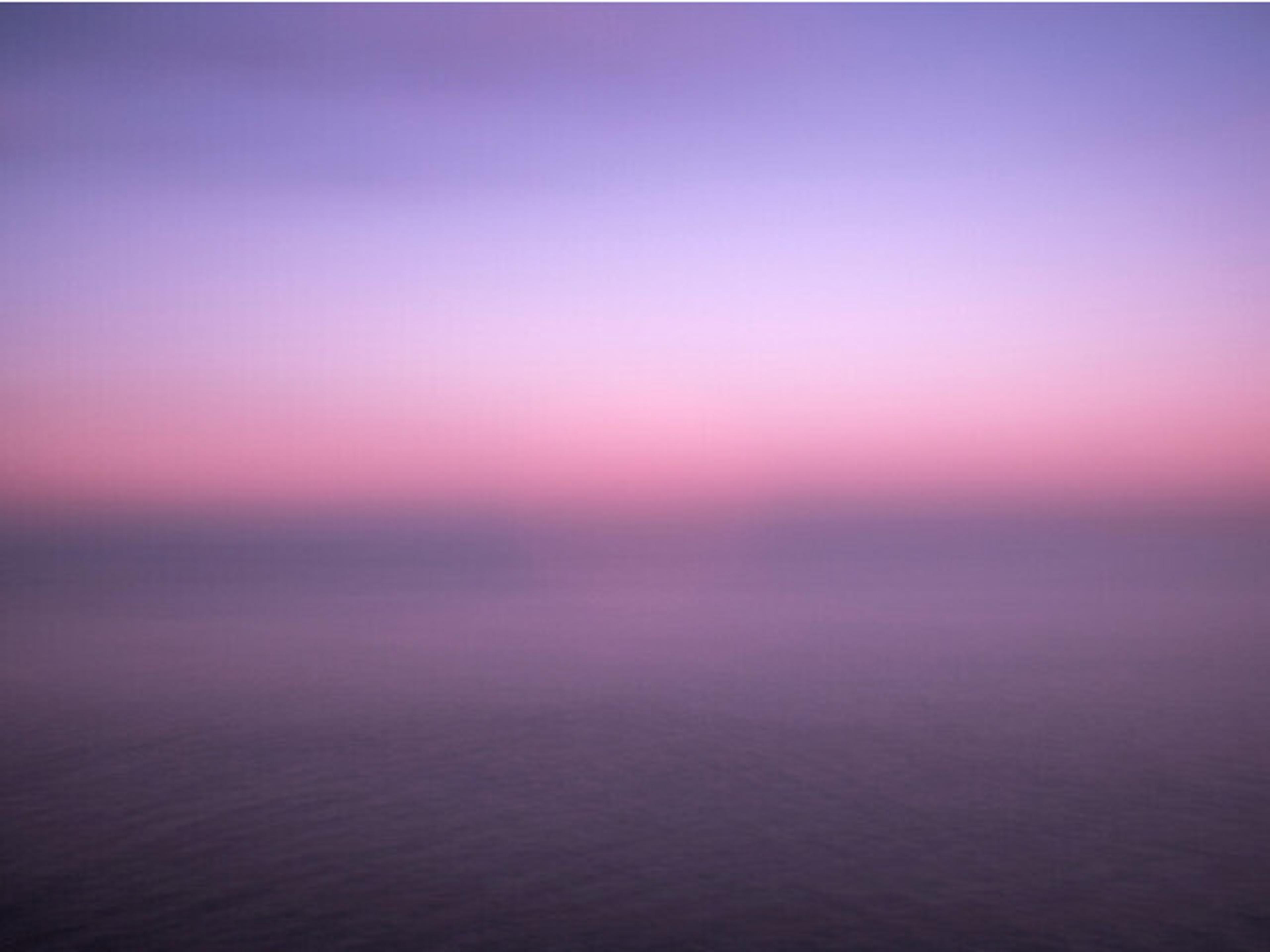 Daleno Serenity Sought Wall Art