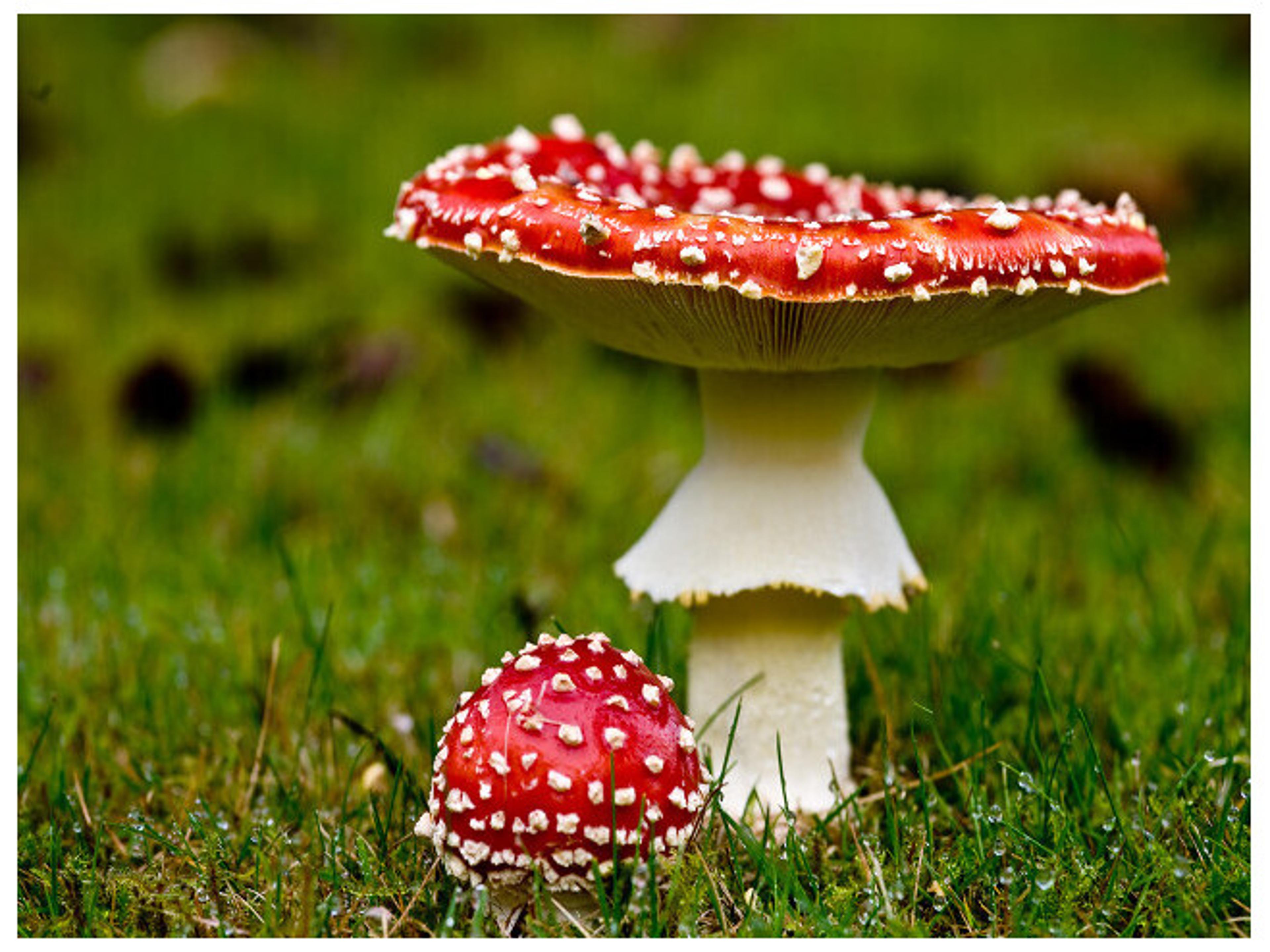 Daleno Chronology Wall Art