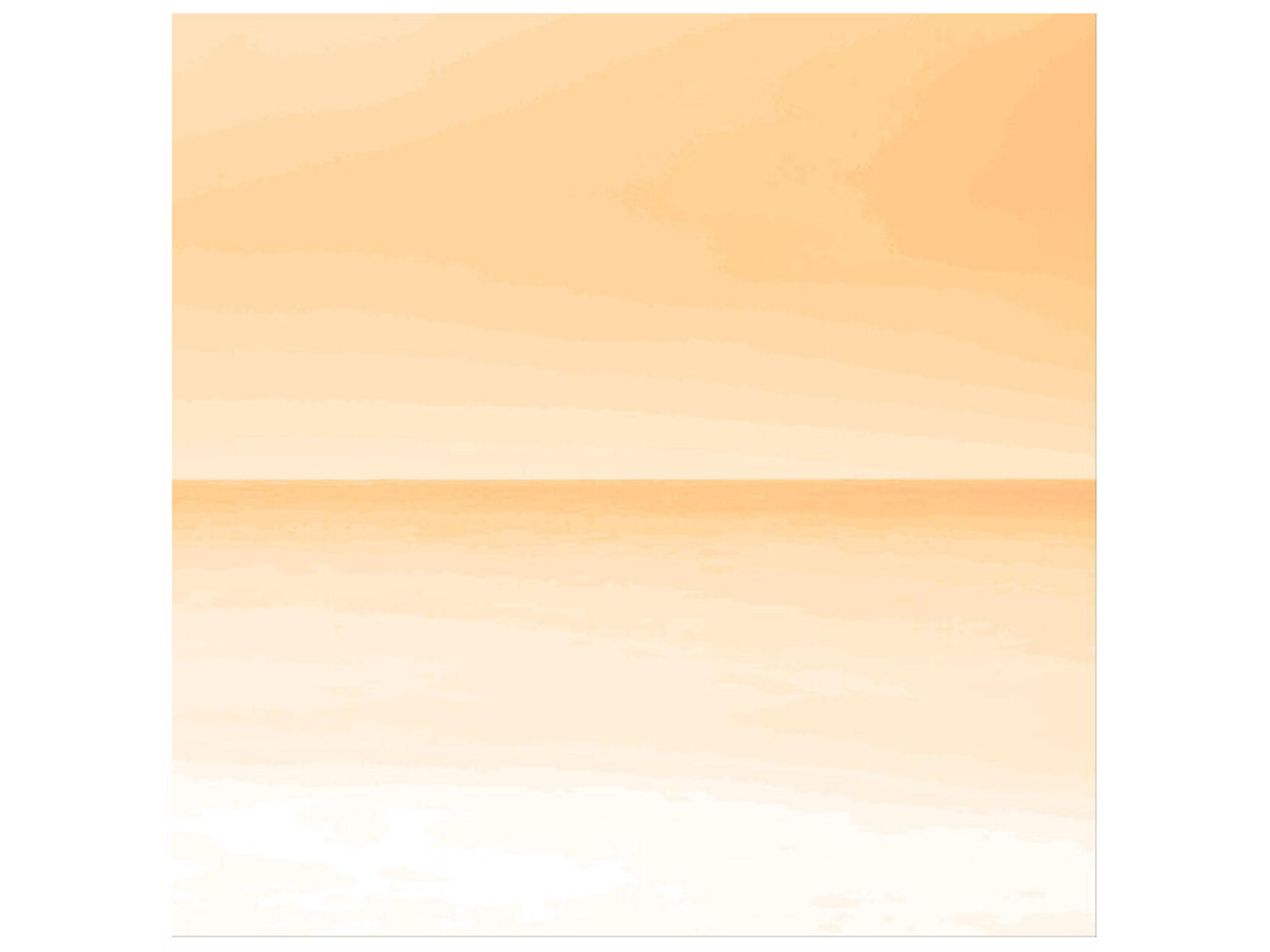 Daleno Coral Breeze Wall Art