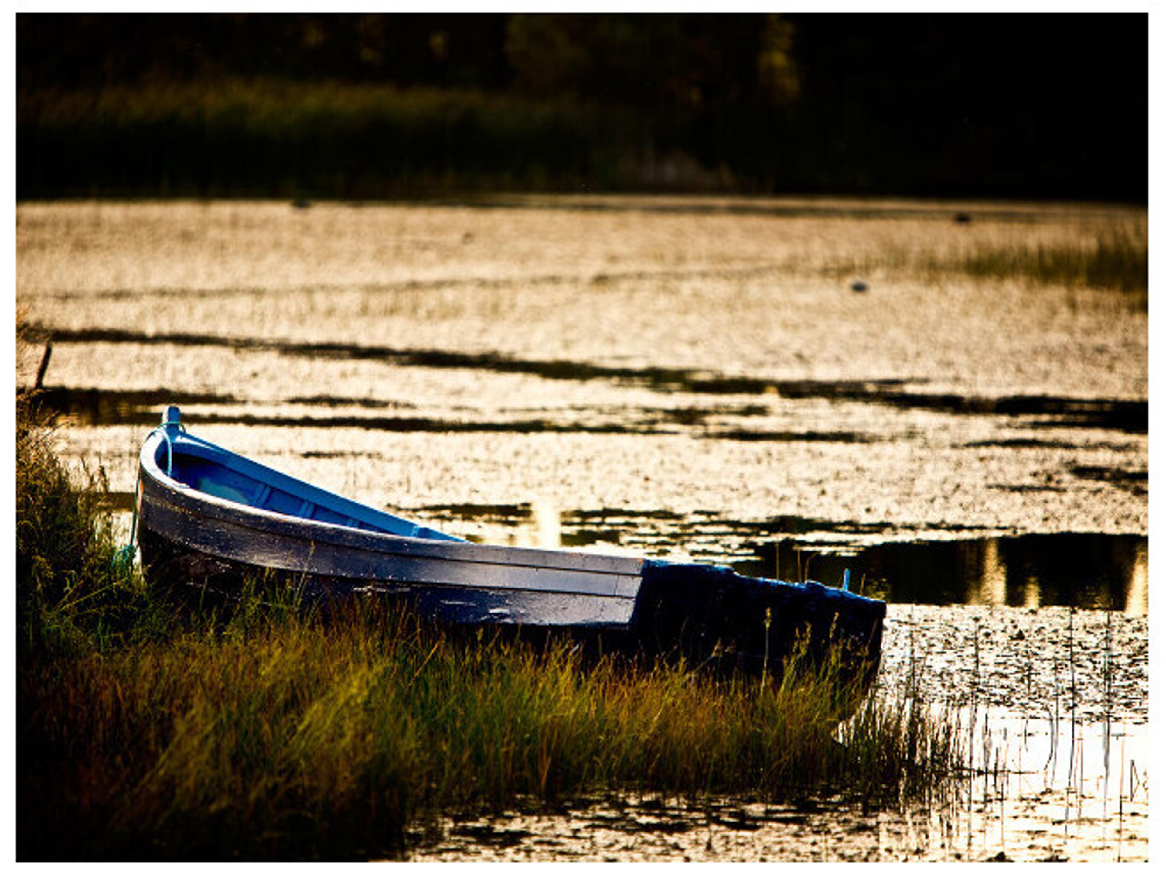 Afternoon Break I Wall Art