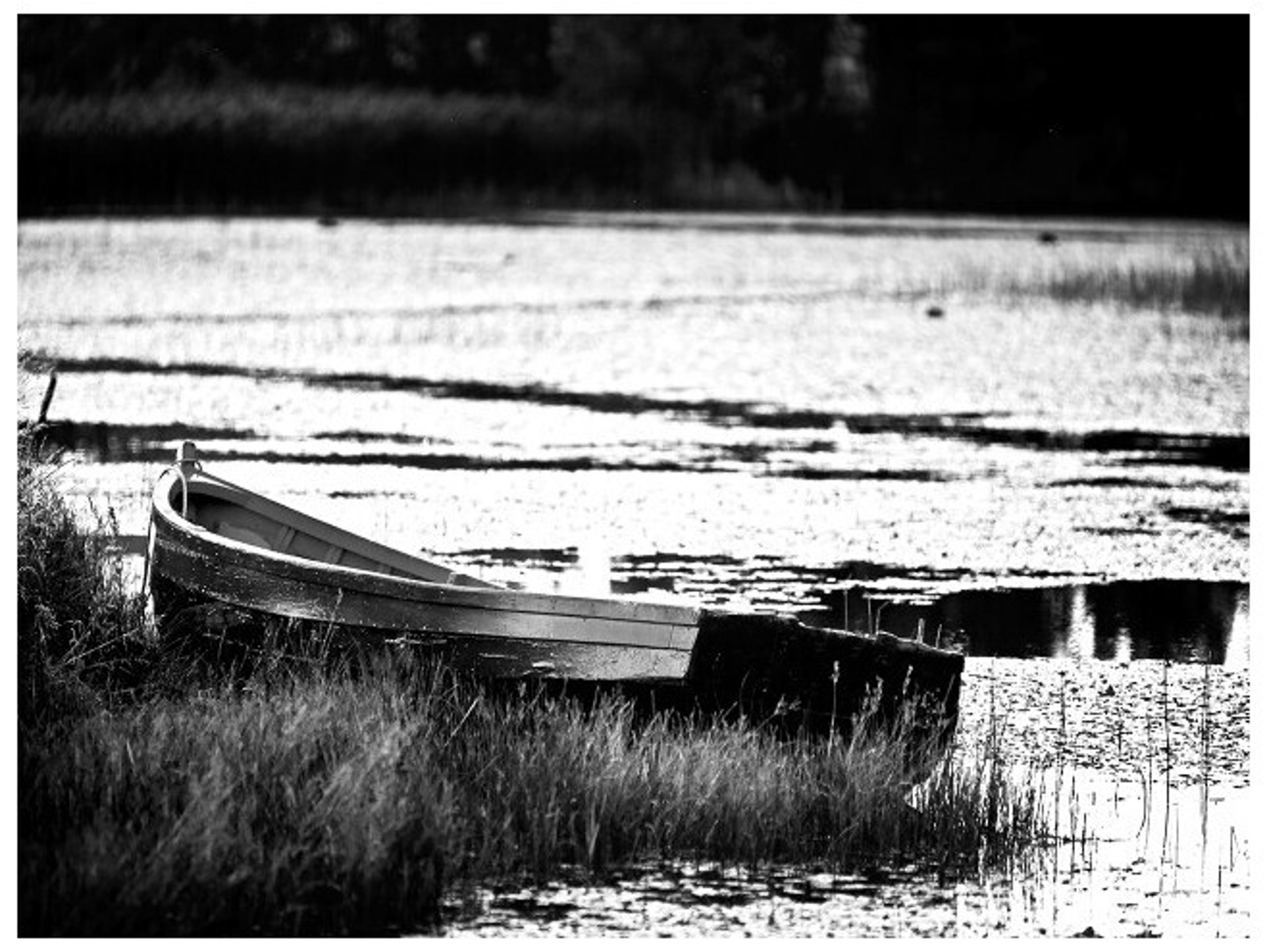 Afternoon Break II Wall Art