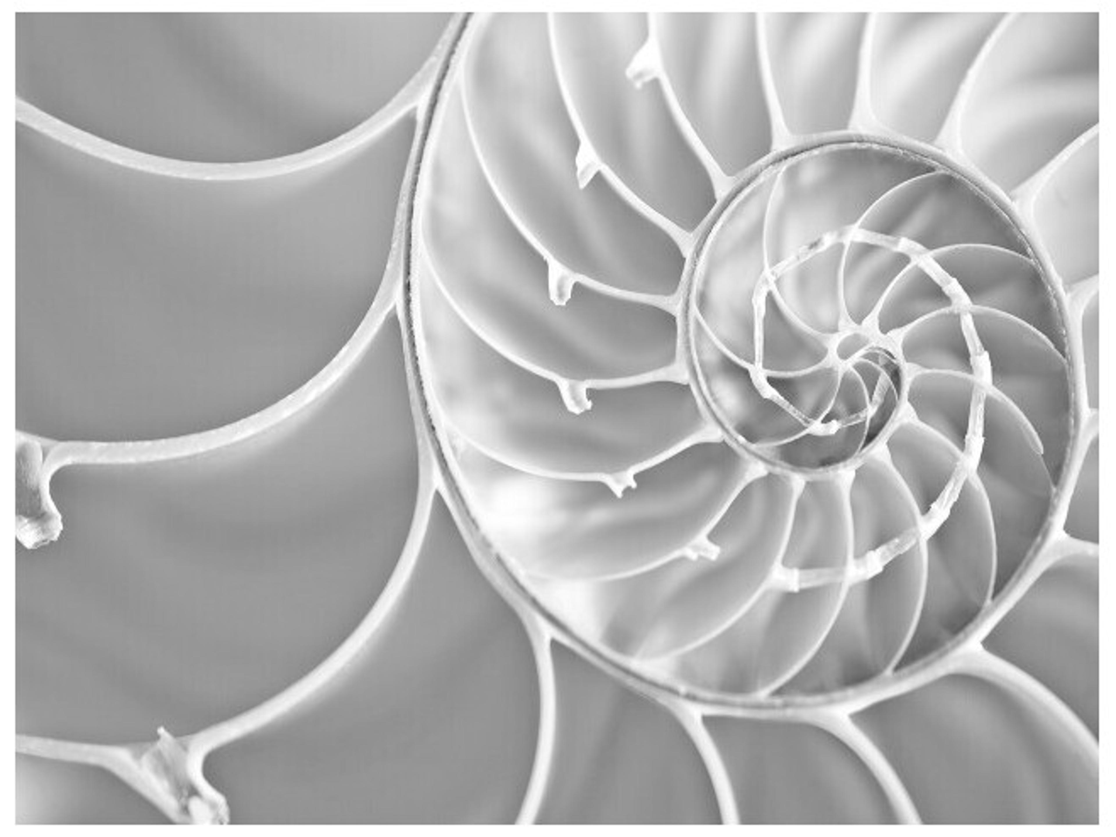 Daleno Relic II Wall Art