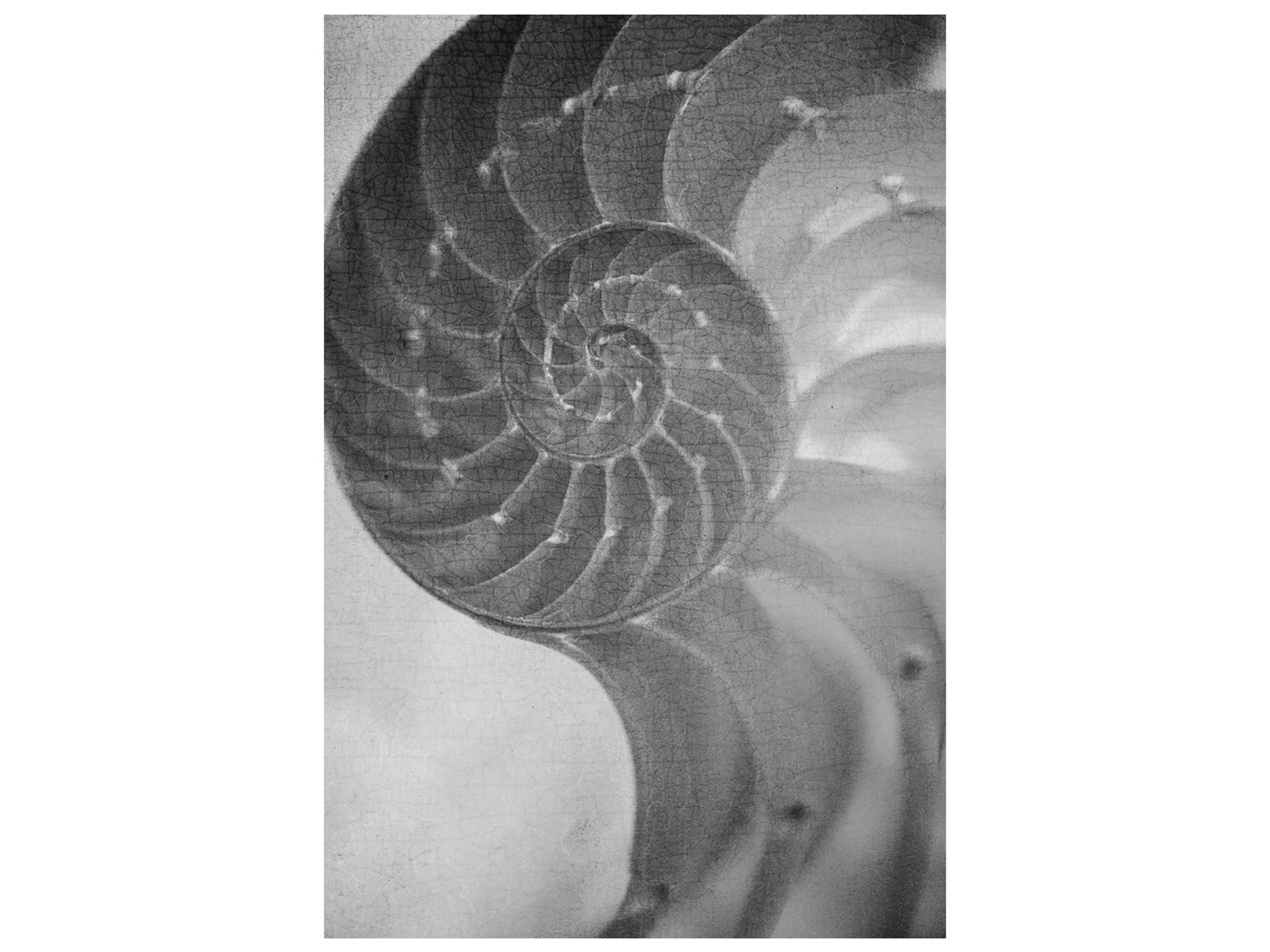 Daleno Ornate I Wall Art