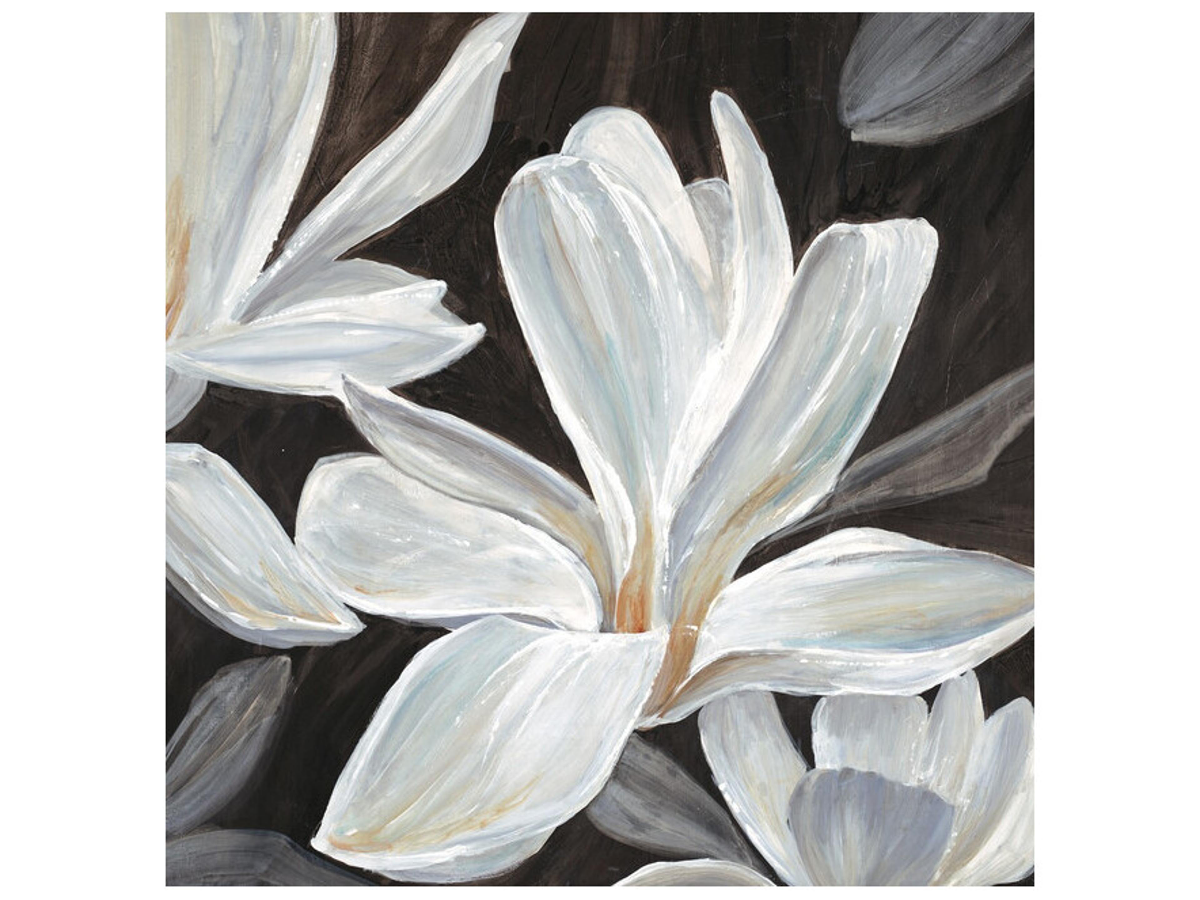 Daleno Magical Magnolia Wall Art
