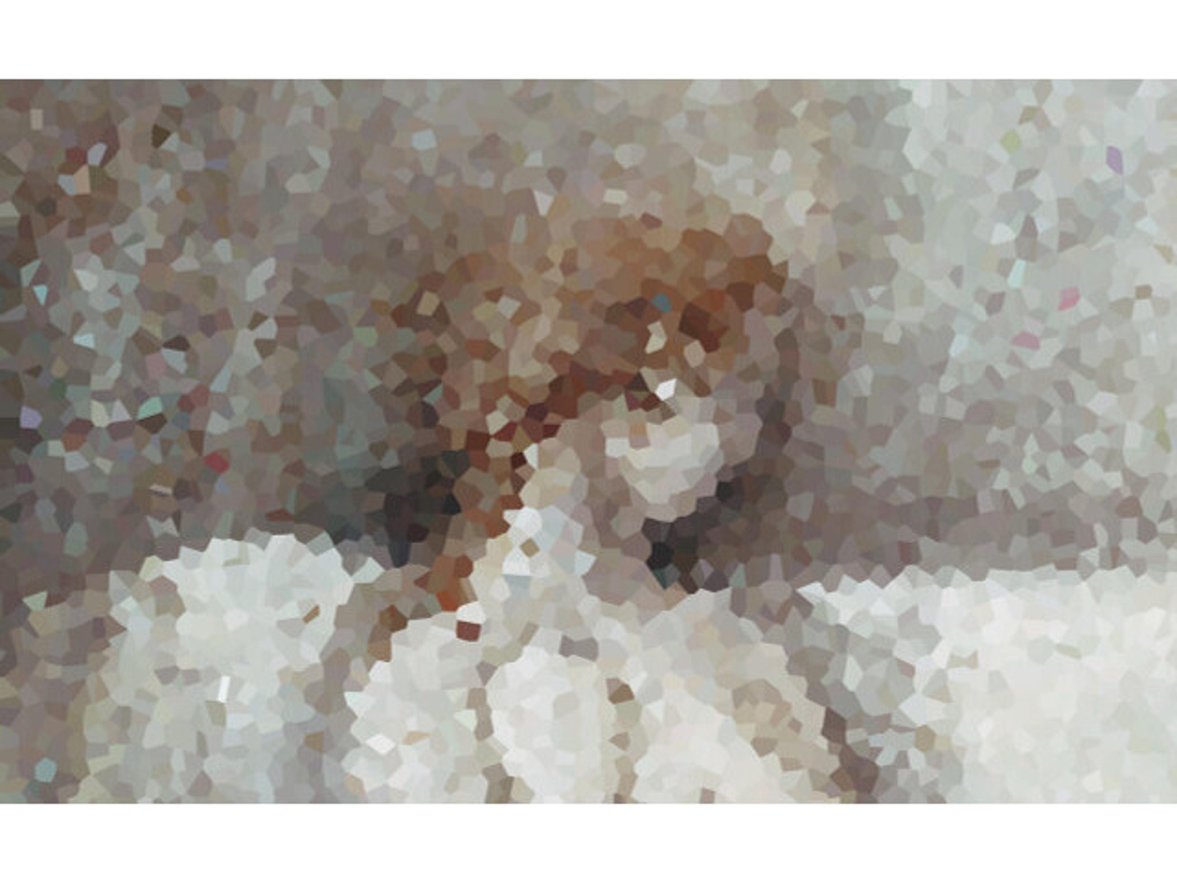 A Frosted View Wall Art