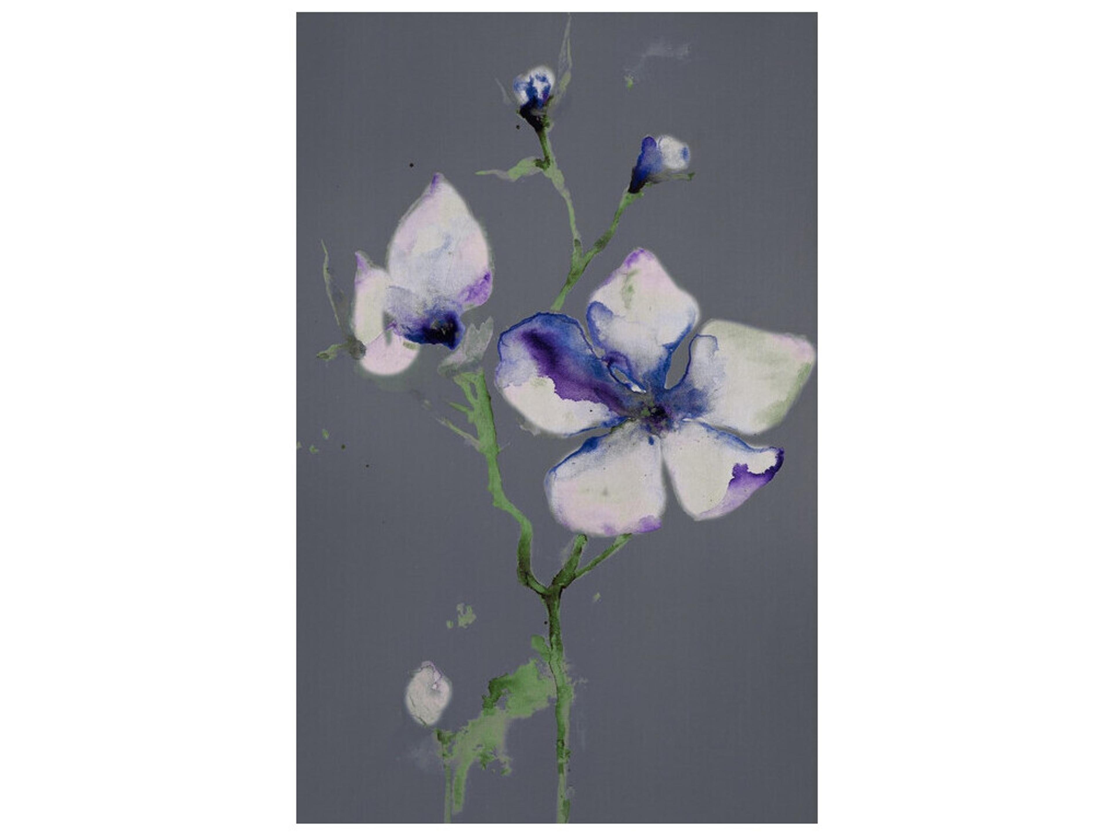 Daleno Nightly Bloom I Wall Art