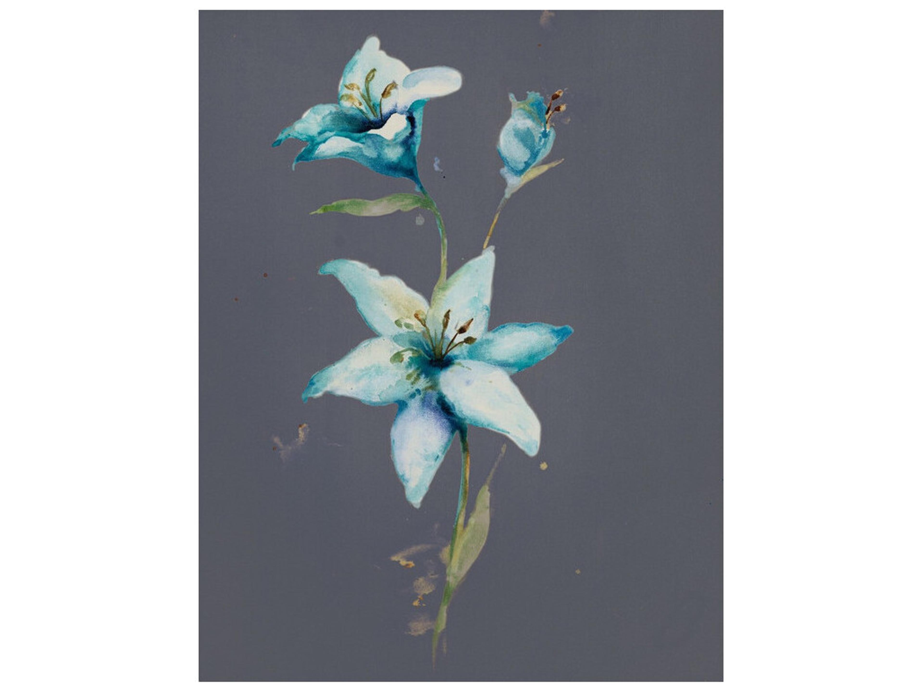 Nightly Bloom II Wall Art