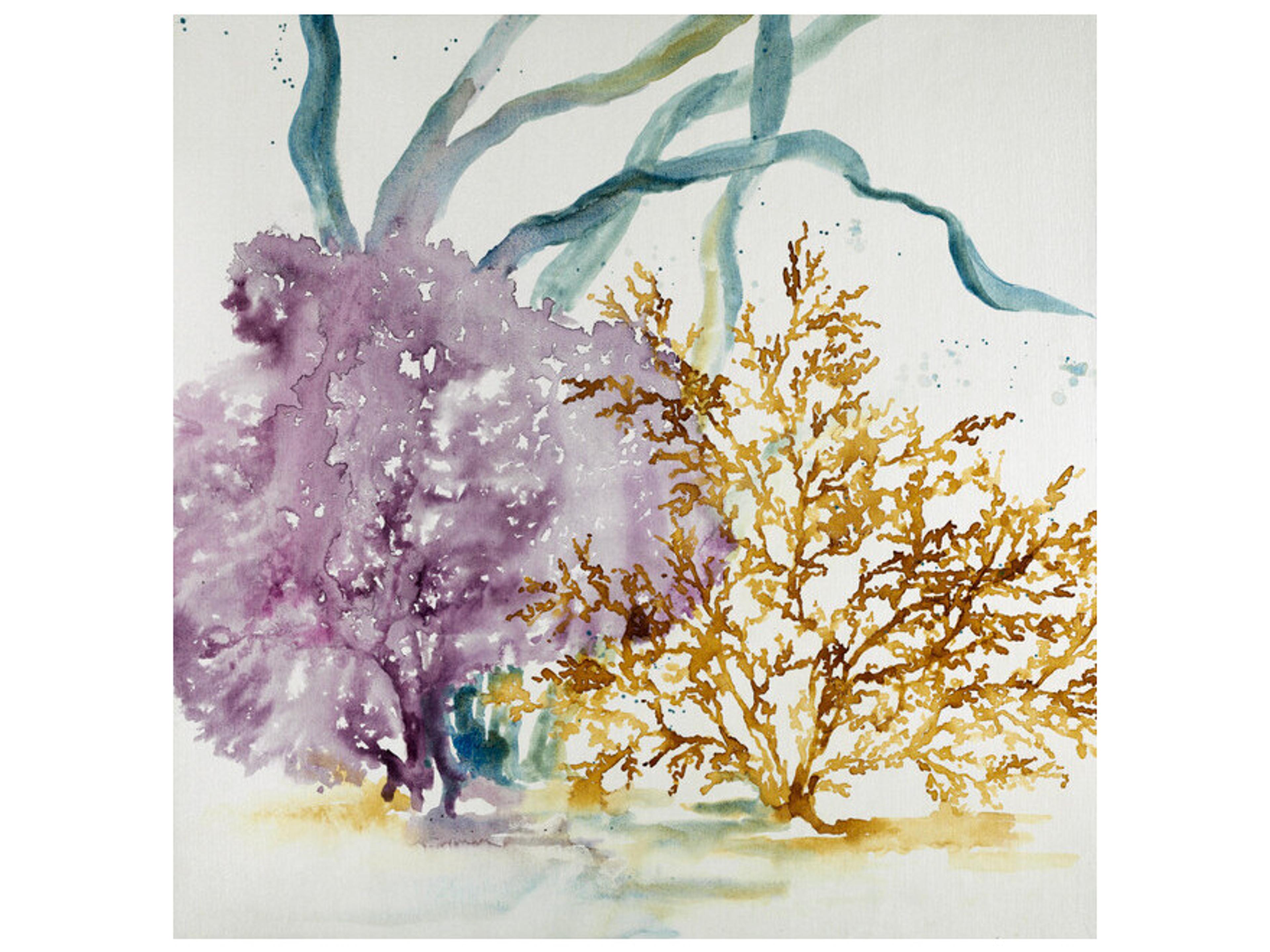 Reef Built I Wall Art