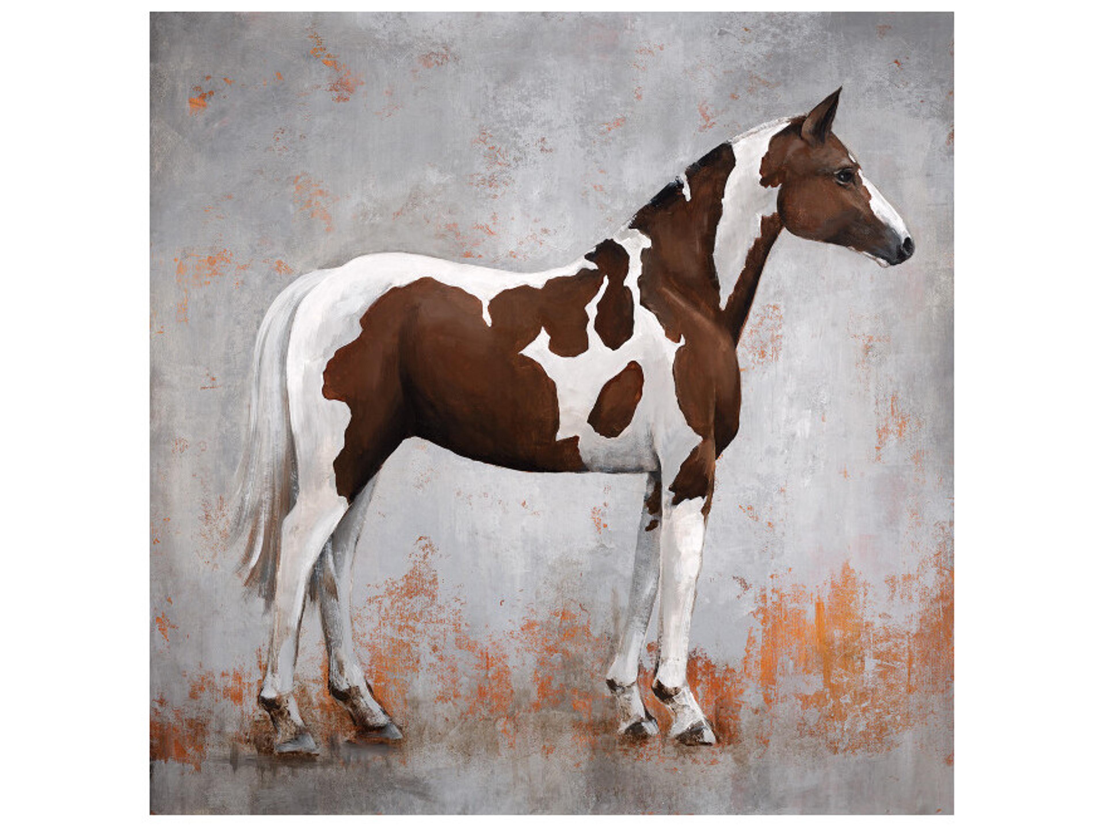 Daleno Fearless Colt Wall Art