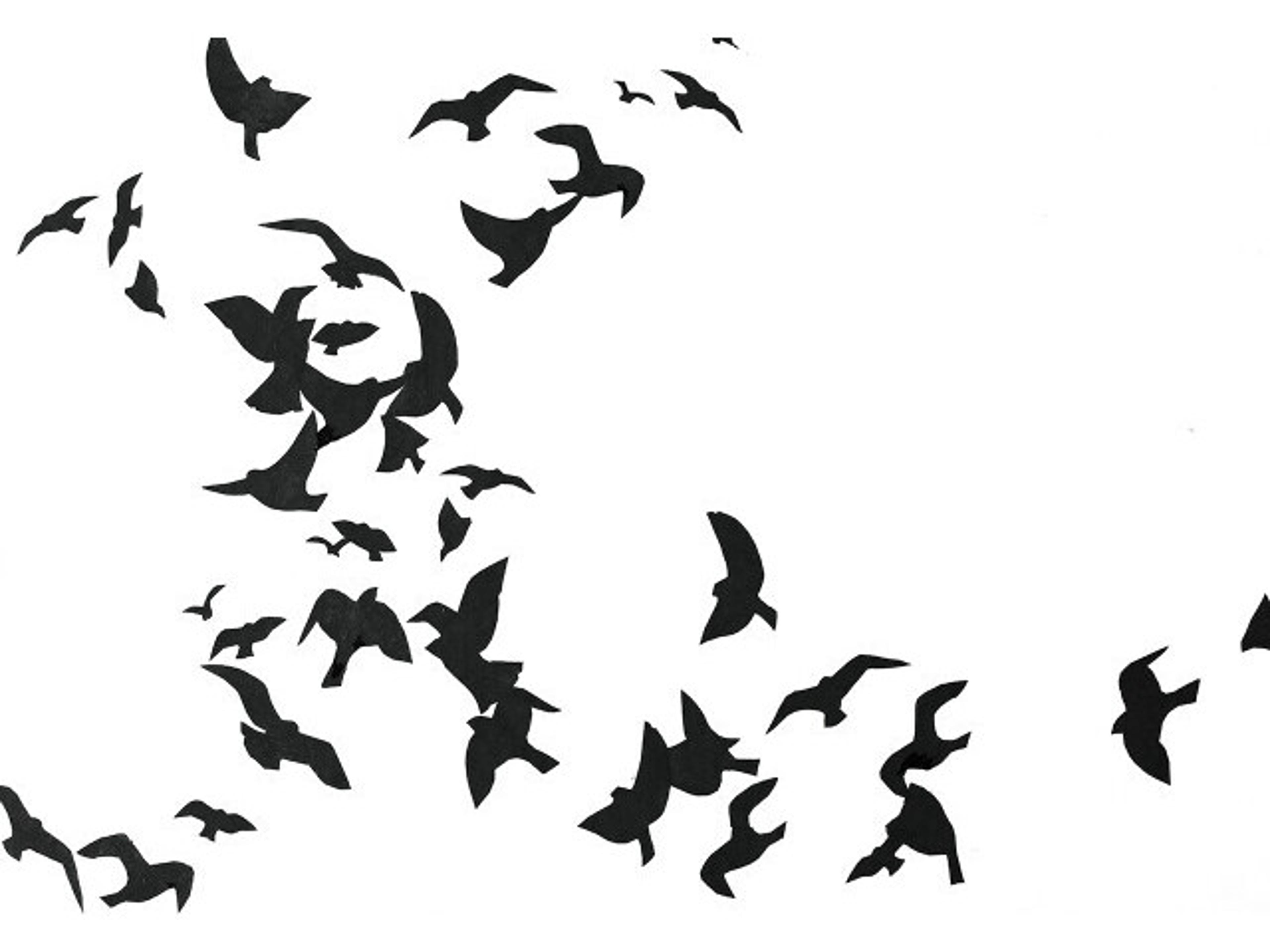 Daleno Never Seen a Man Wall Art