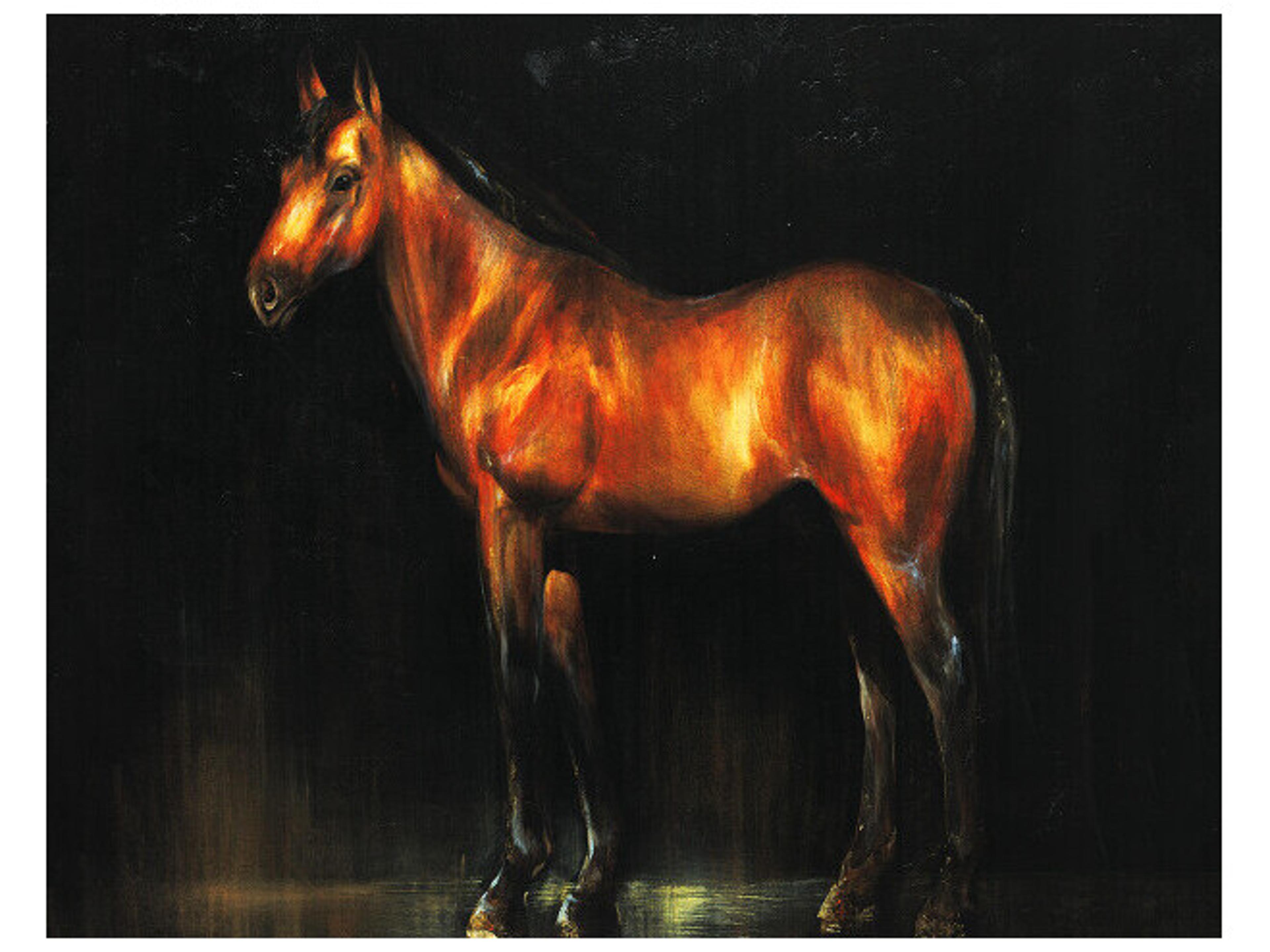 Nobility Contest Wall Art